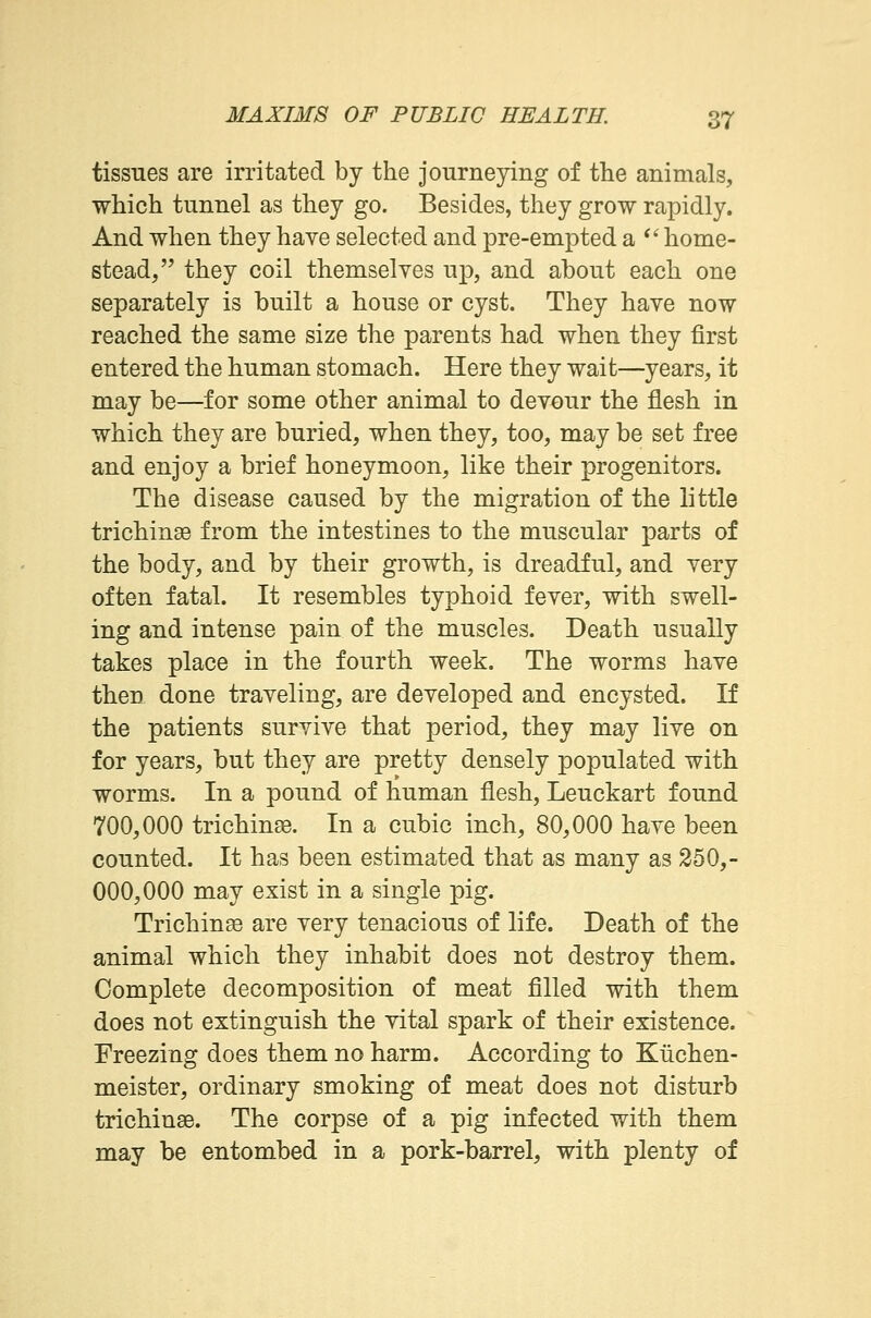 tissues are irritated by the journeying of the animals, which tunnel as they go. Besides, they grow rapidly. And when they have selected and pre-empted a home- stead, they coil themselves up, and about each one separately is built a house or cyst. They have now reached the same size the parents had when they first entered the human stomach. Here they wait—years, it may be—for some other animal to devour the flesh in which they are buried, when they, too, may be set free and enjoy a brief honeymoon, like their progenitors. The disease caused by the migration of the little trichinae from the intestines to the muscular parts of the body, and by their growth, is dreadful, and very often fatal. It resembles typhoid fever, with swell- ing and intense pain of the muscles. Death usually takes place in the fourth week. The worms have then done traveling, are developed and encysted. If the patients survive that period, they may live on for years, but they are pretty densely populated with worms. In a pound of human flesh, Leuckart found 700,000 trichinae. In a cubic inch, 80,000 have been counted. It has been estimated that as many as 250,- 000,000 may exist in a single pig. Trichinae are very tenacious of life. Death of the animal which they inhabit does not destroy them. Complete decomposition of meat filled with them does not extinguish the vital spark of their existence. Freezing does them no harm. According to Kuchen- meister, ordinary smoking of meat does not disturb trichinae. The corpse of a pig infected with them may be entombed in a pork-barrel, with plenty of