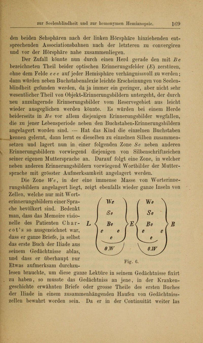 den beiden Sehsphären nach der linken Hörsphäre hinziehenden ent- sprechenden Associationsbahnen nach der letzteren zu convergiren und vor der Hörsphäre nahe zusammenliegen. Der Zufall könnte nun durch einen Herd gerade den mit Be bezeichneten Theil beider optischen Erinnerungsfelder (E) zerstören, ohne dem Felde eee auf jeder Hemisphäre verhängnissvoll zu werden; dann würden neben Buchstabenalexie leichte Erscheinungen von Seelen- blindheit gefunden werden, da ja immer ein geringer, aber nicht sehr wesentlicher Theil von Objekt-Erinnerungsbildern untergeht, der durch neu anzulagernde Erinnerungsbilder vom Eeservegebiet aus leicht wieder ausgeglichen werden könnte. Es würden bei einem Herde beiderseits in Be vor allem diejenigen Erinnerungsbilder wegfallen, die zu jener Lebensperiode neben den Buchstaben-Erinnerungsbildern angelagert worden sind. — Hat das Kind die einzelnen Buchstaben kennen gelernt, dann lernt es dieselben zu einzelnen Silben zusammen- setzen und lagert nun in einer folgenden Zone Se neben anderen Erinnerungsbildern vorwiegend diejenigen von Silbenschriftzeichen seiner eigenen Muttersprache an. Darauf folgt eine Zone, in welcher neben anderen Erinnerungsbildern vorwiegend Wortbilder der Mutter- sprache mit grösster Aufmerksamkeit angelagert werden. Die Zone We, in der eine immense Masse von Worterinne- rungsbildern angelagert liegt, zeigt ebenfalls wieder ganze Inseln von Zellen, welche nur mit Wort- erinnerungsbildern einer Spra- che bevölkert sind. Bedenkt man, dass das Memoire visio- nelle des Patienten C h a r - I c o t' s so ausgezeichnet war, dass er ganze Briefe, ja selbst das erste Buch der Iliade aus seinem Gedächtnisse ablas, und dass er überhaupt nur Etwas aufmerksam durchzu- lesen brauchte, um diese ganze Lektüre in seinem Gedächtnisse fixirt zu haben, so musste das Gedächtniss an jene, in der Kranken- geschichte erwähnten Briefe oder grosse Theile des ersten Buches der Iliade in einem zusammenhängenden Haufen von Gedächtniss- zellen bewahrt worden sein. Da er in der Continuität weiter las