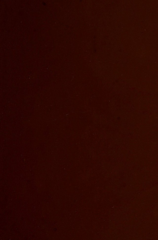 digitised image 3
