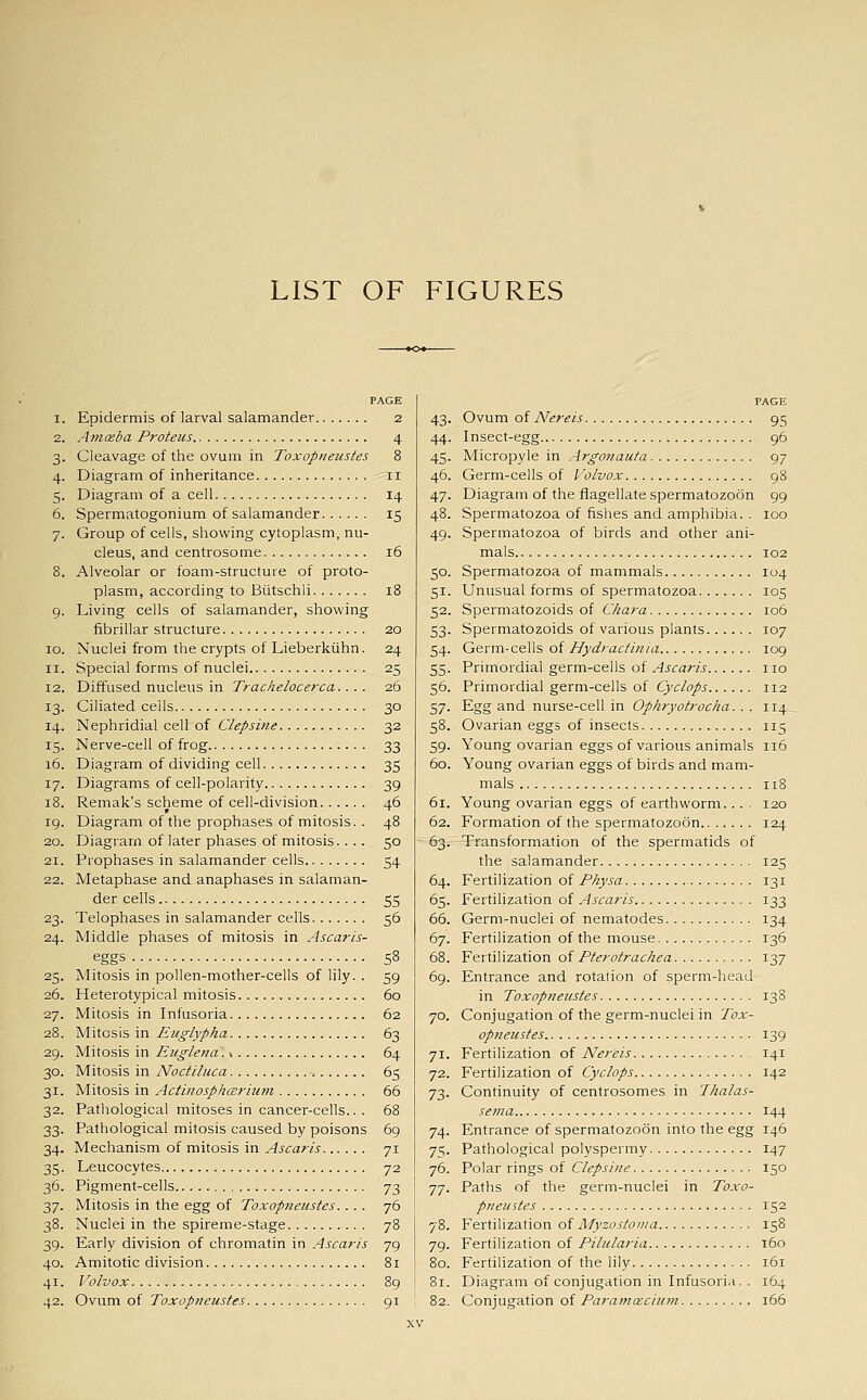 LIST OF FIGURES PAGE 1. Epidermis of larval salamander 2 2. Amceba Proteus 4 3. Cleavage of the ovum in Toxopneustes 8 4. Diagram of inheritance 11 5. Diagram of a cell 14 6. Spermatogonium of salamander 15 7. Group of cells, showing cytoplasm, nu- cleus, and centrosome 16 8. Alveolar or foam-structure of proto- plasm, according to Biitschli 18 9. Living cells of salamander, showing fibrillar structure. 20 10. Nuclei from the crypts of Lieberkiihn. 24 11. Special forms of nuclei 25 12. Diffused nucleus in Trachelocerca.. . . 26 13. Ciliated ceils 30 14. Nephridial cell of Clepsine 32 15. Nerve-cell of frog 33 16. Diagram of dividing cell 35 17. Diagrams of cell-polarity 39 18. Remak's scheme of cell-division 46 19. Diagram of the prophases of mitosis. . 48 20. Diagram of later phases of mitosis.... 50 21. Prophases in salamander cells 54 22. Metaphase and anaphases in salaman- der cells 55 23. Telophases in salamander cells 56 24. Middle phases of mitosis in Ascaris- eggs 58 25. Mitosis in pollen-mother-cells of lily. . 59 26. Heterotypical mitosis 60 27. Mitosis in Infusoria 62 28. Mitosis in Euglypha 63 29. Mitosis in Eiiglena. * 64 30. Mitosis in Noctiluca 65 31. Mitosis in ActlnosphcBrium 66 32. Pathological mitoses in cancer-cells... 68 33. Pathological mitosis caused by poisons 69 34. Mechanism of mitosis in .-^Jfarw 71 35. Leucocytes 72 36. Pigment-cells 73 37. Mitosis in the egg of Toxopneustes.... 76 38. Nuclei in the spireme-stage 78 39. Early division of chromatin in Ascaris 79 40. Amitotic division 81 41. Volvox 89 42. Ovum of Toxopneustes 91 PAGE Ovum of Nereis 95 Insect-egg 96 Micropyle in Argonauta 97 Germ-cells of Volvox 98 Diagram of the flagellate spermatozoon 99 Spermatozoa of fishes and amphibia. . 100 Spermatozoa of birds and other ani- mals 102 Spermatozoa of mammals 104 Unusual forms of spermatozoa 105 Spermatozoids of Chara 106 Spermatozoids of various plants 107 Germ-cells of Hydractlnia 109 Primordial germ-cells of Ascaris no Primordial germ-cells of Cyclops 112 Egg and nurse-cell in Ophryotrocha. . . 114 Ovarian eggs of insects 115 Young ovarian eggs of various animals 116 Young ovarian eggs of birds and mam- mals 118 Young ovarian eggs of earthworm... . 120 Formation of the spermatozoon 124 Transformation of the spermatids of the salamander 125 Fertilization of Physa 131 Fertilization of Ascaris 133 Germ-nuclei of nematodes 134 Fertilization of the mouse 136 Fertilization of Pterotrachea 137 Entrance and rotation of sperm-head in Toxopneustes 138 Conjugation of the germ-nuclei in Tox- opneustes 139 Fertilization of Nereis 141 Fertilization of Cyclops 142 Continuity of centrosomes in Thalas- sema 144 Entrance of spermatozoon into the egg 146 Pathological polyspermy 147 Polar rings of Clepsine 150 Paths of the germ-nuclei in Toxo- pneustes 152 Fertilization of Myzostonia 158 Fertilization of Pilularia 160 Fertilization of the lily 161 Diagram of conjugation in Infusoria. . 164 Conjugation of ParamcEcium 166