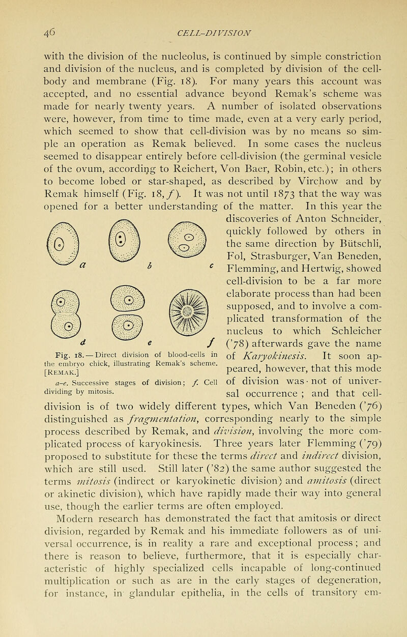 with the division of the nucleohis, is continued by simple constriction and division of the nucleus, and is completed by division of the cell- body and membrane (Fig. i8). For many years this account was accepted, and no essential advance beyond Remak's scheme was made for nearly twenty years. A number of isolated observations were, however, from time to time made, even at a very early period, which seemed to show that cell-division was by no means so sim- ple an operation as Remak believed. In some cases the nucleus seemed to disappear entirely before cell-division (the germinal vesicle of the ovum, according to Reichert, Von Baer, Robin, etc.); in others to become lobed or star-shaped, as described by Virchow and by Remak himself (Fig. i8,/). It was not until 1873 that the way was opened for a better understanding of the matter. In this year the discoveries of Anton Schneider, quickly followed by others in the same direction by Biitschli, Fol, Strasburger, Van Beneden, Flemming, and Hertwig, showed cell-division to be a far more elaborate process than had been supposed, and to involve a com- plicated transformation of the nucleus to which Schleicher ('78) afterwards gave the name of Karyokinesis. It soon ap- peared, however, that this mode of division was • not of univer- sal occurrence ; and that cell- division is of two widely different types, which Van Beneden {^7^) distinguished as fragnientatioit, corresponding nearly to the simple process described by Remak, and division, involving the more com- plicated process of karyokinesis. Three years later Flemming ('79) proposed to substitute for these the terms direct and indirect division, which are still used. Still later ('82) the same author suggested the terms mitosis (indirect or karyokinetic division) and amitosis (direct or akinetic division), which have rapidly made their way into general use, though the earlier terms are often employed. Modern research has demonstrated the fact that amitosis or direct division, regarded by Remak and his immediate followers as of uni- versal occurrence, is in reality a rare and exceptional process ; and there is reason to believe, furthermore, that it is especially char- acteristic of highly specialized cells incapable of long-continued multiplication or such as are in the early stages of degeneration, for instance, in glandular epithelia, in the cells of transitory em- Fig. 18. — Direct division the embryo chick, illustrating [Remak.] a-e. Successive stages of division; dividing by mitosis. of blood-cells in Remak's scheme. / Cell