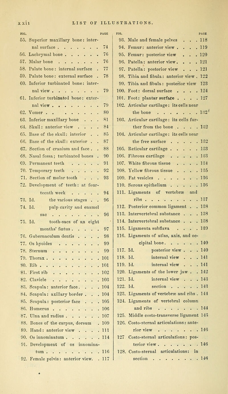 FIG. PAGE FIG. 55. Superior maxillary bone: inter- 93. nal surface 74 94. 56. Lachrymal bone 76 95. 57. Malar bone 76 96. 58. Palate bone : internal surface . 77 97. 59. Palate bone: external surface . 78 98. GO. Inferior turbinated bone: inter- 99. nal view 79 100. 61. Inferior turbinated bone: exter- 101. nal view 79 102. 62. Vomer . . 80 63. Inferior maxillary bone . . . 81 103. 64. Skull: anterior view .... 84 65. Base of the skull: interior . 85 104. 66. Base of the skull: exterior . 87 67. Section of cranium and face . . 88 105. 68. Nasal fossa ; turbinated bones . 90 106. 69. Permanent teeth 91 107. 70. Temporary teeth 92 108. 71. Section of molar tooth , . . 93 109. 72. Development of teeth: at four- 110. teenth week 94 111. 73. Id. the various stages . . 96 74. Id. pulp cavity and enamel 112. sac 96 113. 75. Id. tooth-sacs of an eight 114. months' foetus 97 115. 76. Gubernaculum dentis . . . . 98 116. 77. Os hyoides 99 78. Sternum 99 117. 79. Thorax . , . 101 118. SO. Rib . . . , 101 119. 81. First rib ...,.,.. 102 120. S'' Clavicle .... 103 1?1 83. Scapula: anterior face. . . , 104 122. 84. Scapula: axillary border . . . 104 123. 85. Scapula: posterior face . . , 105 1.24. 86. Humerus 106 87. Ulna and radius 107 125. 88. Bones of the carpus, dorsum 109 126. 89. Hand: anterior view . . . . 111 90. Os innominatum 114 127 91. Development of os innomina- tum 116 128. 92. Female pelvis : anterior view. 117 PAGE 118 119 120 121 121 Male and female pelves Femur: anterior view . Femur: posterior view Patella: anterior view. Patella: postorior view Tibia and fibula: anterior view . 122 Tibia and fibula : posterior view 123 Foot: dorsal surface .... 124 Foot: plantar surface . . . .127 Articular cartilage: its cells near the bone l;'.2' Articular cartilage: its cells fur- ther from the bone ... . . 132 Articular cartilage: its cells near the free surface 132 Reticular cartilage 138 Fibrous cartilage 133 White fibrous tissue . . . .134 Yellow fibrous tissue . . • .135 Fat vesicles 136 Serous epithelium 136 Ligaments of vertebra and ribs 3 37 Posterior common ligament . .138 Intervertebral substance . . , 138 Intervertebral substance . . . 138 Ligamenta subflava . . . .139 Ligaments of atlas, axis, and oc- cipital bone 140 Id. posterior view . . . 140 Id. internal view . . . 141 Id. internal view . . . 141 Ligaments of the lower jaw . .142 Id. internal view . . . 143 Id. section 143 Ligaments of vertebrae and ribs . 144 Ligaments of vertebral column and ribs 144 Middle costo-transverse ligament H-l Costo-sternal articulations: ante- rior view 146 Costo-sternal articulations: pos- terior view 146 Costo-sternal articulations: in section 14'?