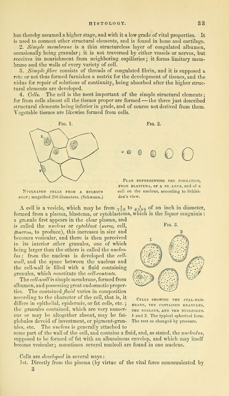 has thereby assumed a higher stage, and with it a low grade of vital properties. It is used to connect other structural elements, and is found in bone and cartilage. 2. Simple membrane is a thin structureless layer of coagulated albumen, occasionally being granular; it is not traversed by either vessels or nerves, but receives its nourishment from neighboring capillaries j it forms limitary mem- brane and the walls of every variety of cell. 3. ^. Simple fibre consists of threads of coagulated fibrin, and it is supposed a rete or net thus formed furnishes a matrix for the development of tissues, and the nidus for repair of solutions of continuity, being absorbed after the higher struc- tural elements are developed. 4. Cells. The cell is the most important of the simple structural elements; for from cells almost all the tissues proper are formed — the three just described structural elements being inferior in grade, and of course not derived from them. Vegetable tissues are likewise formed from cells. Fig. 1. Fia. 2. @ © Nucleated cells from a bulbous /tooT; magnified 290 diameters. (Schwann.) Plan representing the formation, FROM BLASTEMA, OF A NU .LEUS, and of a cell on the nucleus, according to Schlei- den's view. A cell is a vesicle, which may be from y-\^ to g^'oo ^^ ^° ''^^ ^° diameter, formed from a plasma, blastema, or cytoblastema, which is the liquor sanguinis : a grf^nule first appears in the clear plasma, and is called the nvdeus or cijtoblast {xvtoi, cell, ^^^- ^■ STmotsco, to produce), this increases in size and becomes vesicular, and there is then perceived in its interior other granules, one of which being larger than the others is called the nucleo- lus ; from the nucleus is developed the cell- wall, and the space between the nucleus and the cell--vvall is filled with a fluid containing granules, which constitute the cell-contents. The cell-wall h simple membrane, formed from albumen, and possessing great endosmotie proper- ties. The contained fiuid varies in composition according to the character of the cell, that is, it differs in epithelial, epidermic, or fat cells, etc.; the granules contained, which are very numer- ous or may be altogether absent, may be fat- globules devoid of investment, or pigment-gran- ules, etc. The nucleus is generally attached to some part of the wall of the cell, and contains a fluid, and, as stated, the nu,cleolus, supposed to be formed of fat with an albuminous envelop, and which may itself become vesicular; sometimes several nucleoli are found in one nucleus. Cells showing the cell-mkm- BRANE, the contained GRANULES, THE NUCLEUS, AND THE NUCLEOLUS. 1 and 2. The typical spherical form. The rest as changed by pressure. Cells are developed in several ways : 1st. Directly from the plasma (by virtue of the vital force communicated bj 8