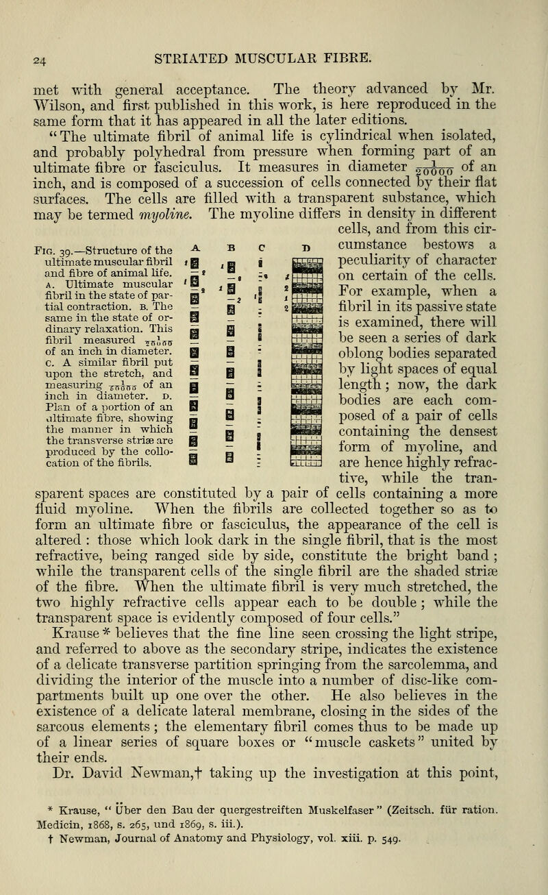 met with general acceptance. The theory advanced by Mr. Wilson, and' first published in this work, is here reproduced in the same form that it has appeared in all the later editions.  The ultimate fibril of animal life is cylindrical when isolated, and probably polyhedral from pressure when forming part of an ultimate fibre or fasciculus. It measures in diameter of an Fig. 39.—Structure of the ultimate muscular fibril and fibre of animal life. a. Ultimate muscular fibril in the state of par- tial contraction, b. The same in the state of or- dinary relaxation. This fibril measured -j,,,1,^ of an inch in diameter. c. A similar fibril put upon the stretch, and measuring T^5!T of an inch in diameter, d. Plan of a portion of an ultimate fibre, showing the manner in which the transverse striae are produced by the collo- cation of the fibrils. r B M inch, and is composed of a succession of cells connected by their flat surfaces. The cells are filled with a transparent substance, which may be termed myoline. The myoline differs in density in different cells, and from this cir- cumstance bestows a peculiarity of character on certain of the cells. For example, when a fibril in its passive state is examined, there will be seen a series of dark oblong bodies separated by light spaces of equal length; now, the dark bodies are each com- posed of a pair of cells containing the densest form of myoline, and are hence highly refrac- tive, while the tran- sparent spaces are constituted by a pair of cells containing a more fluid myoline. When the fibrils are collected together so as to form an ultimate fibre or fasciculus, the appearance of the cell is altered : those which look dark in the single fibril, that is the most refractive, being ranged side by side, constitute the bright band ; while the transparent cells of the single fibril are the shaded stria? of the fibre. When the ultimate fibril is very much stretched, the two highly refractive cells appear each to be double; while the transparent space is evidently composed of four cells. Krause * believes that the fine line seen crossing the light stripe, and referred to above as the secondary stripe, indicates the existence of a delicate transverse partition springing from the sarcolemma, and dividing the interior of the muscle into a number of disc-like com- partments built up one over the other. He also believes in the existence of a delicate lateral membrane, closing in the sides of the sarcous elements ; the elementary fibril comes thus to be made up of a linear series of square boxes or muscle caskets united by their ends. Dr. David Newman, f taking up the investigation at this point, * Krause,  Uber den Bau der quergestreiften Muskelfaser (Zeitsch. fur ration. Medicin, 1868, s. 265, und 1869, s. hi.). t Newman, Journal of Anatomy and Physiology, vol. xiii. p. 549.