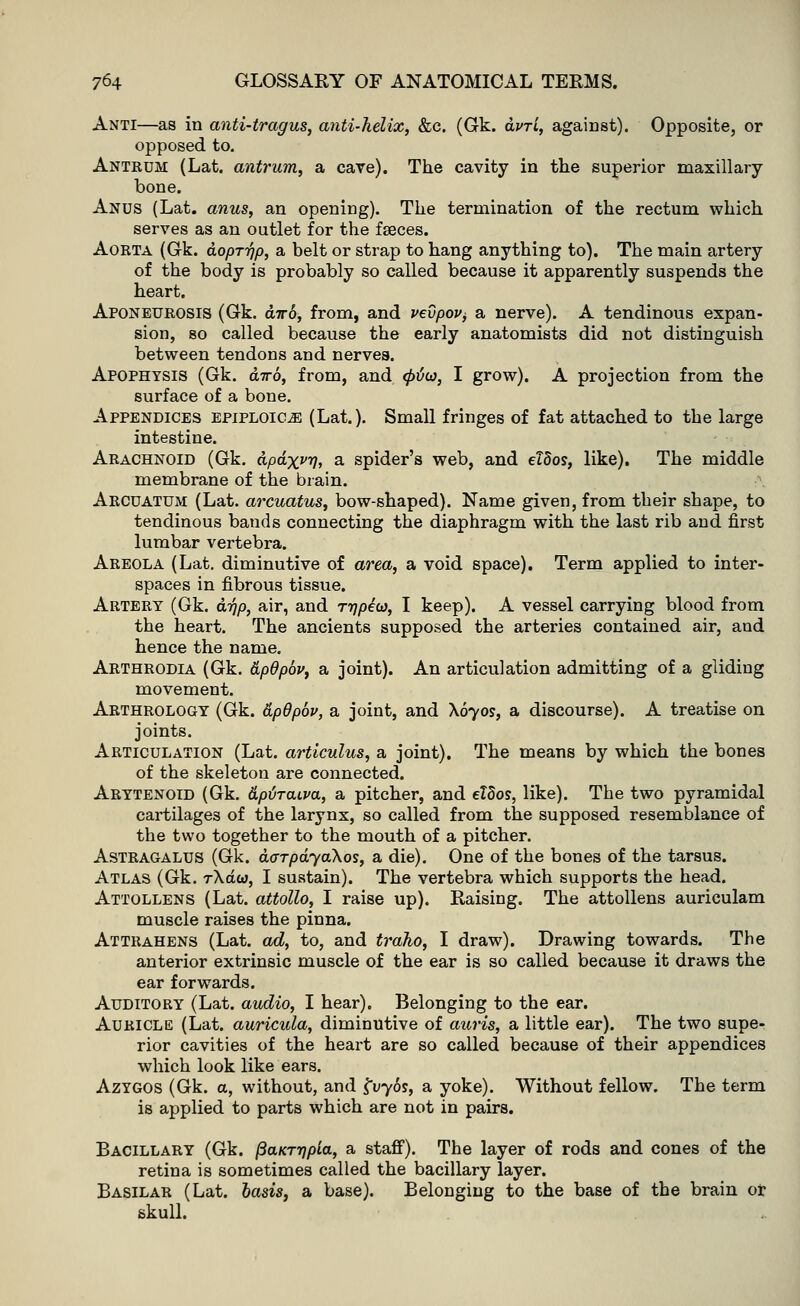 Anti—as in anti-tragus, anti-helix, &c. (Gk. dvrl, against). Opposite, or opposed to. Antrum (Lat. antrum, a care). The cavity in the superior maxillary bone. Anus (Lat. anus, an opening). The termination of the rectum which serves as an outlet for the fseces. Aorta (Gk. dopr-qp, a belt or strap to hang anything to). The main artery of the body is probably so called because it apparently suspends the heart. Aponeurosis (Gk. diro, from, and vevpov> a nerve). A tendinous expan- sion, so called because the early anatomists did not distinguish between tendons and nerves. Apophysis (Gk. diro, from, and <pi(a, I grow). A projection from the surface of a bone. Appendices epiploic^ (Lat.). Small fringes of fat attached to the large intestine. Arachnoid (Gk. dpdxvy, a spider's web, and ddos, like). The middle membrane of the brain. Arcuatum (Lat. arcuatus, bow-shaped). Name given, from their shape, to tendinous bauds connecting the diaphragm with the last rib and first lumbar vertebra. Areola (Lat. diminutive of area, a void space). Term applied to inter- spaces in fibrous tissue. Artery (Gk. drip, air, and r^pew, I keep). A vessel carrying blood from the heart. The ancients supposed the arteries contained air, and hence the name. Arthrodia (Gk. dpdpbv, a joint). An articulation admitting of a gliding movement. Arthrology (Gk. tLpOpbv, a joint, and \670s, a discourse). A treatise on joints. Articulation (Lat. articulus, a joint). The means by which the bones of the skeleton are connected. Arytenoid (Gk. tiptraiva, a pitcher, and eldos, like). The two pyramidal cartilages of the larynx, so called from the supposed resemblance of the two together to the mouth of a pitcher. Astragalus (Gk. do-rpdyaXos, a die). One of the bones of the tarsus. Atlas (Gk. rXdco, I sustain). The vertebra which supports the head. Attollens (Lat. attollo, I raise up). Raising. The attollens auriculam muscle raises the pinna. Attrahens (Lat. ad, to, and traho, I draw). Drawing towards. The anterior extrinsic muscle of the ear is so called because it draws the ear forwards. Auditory (Lat. audio, I hear). Belonging to the ear. Auricle (Lat. auricula, diminutive of auris, a little ear). The two supe- rior cavities of the heart are so called because of their appendices which look like ears. Azygos (Gk. a, without, and frybs, a yoke). Without fellow. The term is applied to parts which are not in pairs. Bacillary (Gk. fiaKTrjpla, a staff). The layer of rods and cones of the retina is sometimes called the bacillary layer. Basilar (Lat. basis, a base). Belonging to the base of the brain or skull.