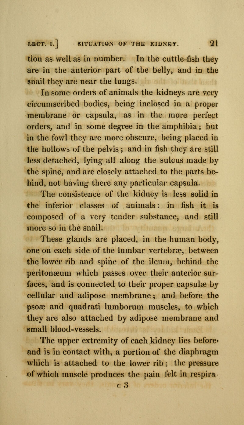 tion as well as in number. In the cuttle-fish they are in the anterior part of the belly, and in the snail they are near the lungs. In some orders of animals the kidneys are very circumscribed bodies, being inclosed in a proper membrane or capsula, as in the more perfect orders, and in some degree in the amphibia; but in the fowl they are more obscure, being placed in the hollows of the pelvis; and in fish they are still less detached, lying all along the sulcus made by the spine, and are closely attached to the parts be- hind, not having there any particulai* capsula. The consistence of the kidney is less solid in the inferior classes of animals: in fish it is composed of a very tender substance, and still more so in the snail. These glands are placed, in the human body, one on each side of the lumbar vertebrae, between the lower rib and spine of the ileum, behind the peritonaeum which passes over their anterior sur- faces, and is connected to their proper capsulae by cellular and adipose membrane; and before the psoae and quadrati lumborum muscles, to which they are also attached by adipose membrane and small blood-vessels. The upper extremity of each kidney lies before* and is in contact with, a portion of the diaphragm which is attached to the lower rib; the pressure of which muscle produces the pain felt in respira- r3