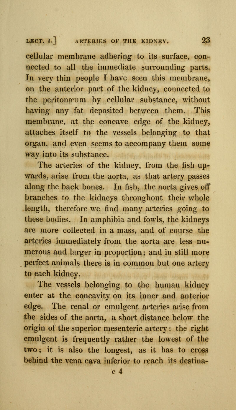 cellular membrane adhering to its surface, con- nected to all the immediate surrounding parts. In very thin people I have seen this membrane, on the anterior part of the kidney, connected to the peritonseum by cellular substance, without having any fat deposited between them. This membrane, at the concave edge of the kidney, attaches itself to the vessels belonging to that organ, and even seems to accompany them some way into its substance. The arteries of the kidney, from the fish up- wards, arise from the aorta, as that artery passes along the back bones. In fish, the aorta gives off branches to the kidneys throughout their whole length, therefore we find many arteries going to these bodies. In amphibia and fowls, the kidneys are more collected in a mass, and of course the arteries immediately from the aorta are less nu- merous and larger in proportion; and in still more perfect animals there is in common but one artery to each kidney. The vessels belonging to the human kidney enter at the concavity on its inner and anterior edge. The renal or emulgent arteries arise from the sides of the aorta, a short distance below the origin of the superior mesenteric artery: the right emulgent is frequently rather the lowest of the two; it is also the longest, as it has to cross behind the vena cava inferior to reach its destina- c4
