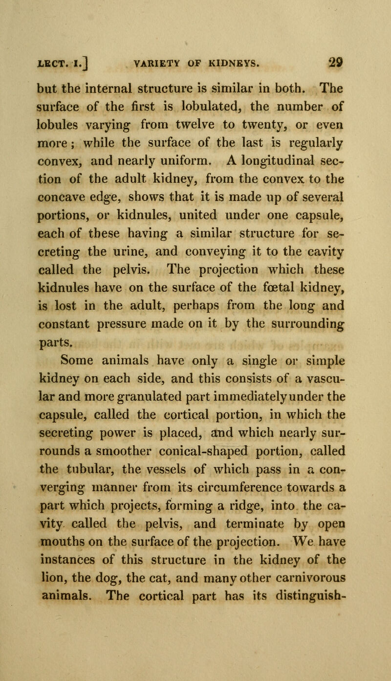but the internal structure is similar in both. The surface of the first is lobulated, the number of lobules varying from twelve to twenty, or even more; while the surface of the last is regularly convex, and nearly uniform. A longitudinal sec- tion of the adult kidney, from the convex to the concave edge, shows that it is made up of several portions, or kidnules, united under one capsule, each of these having a similar structure for se- creting the urine, and conveying it to the cavity called the pelvis. The projection which these kidnules have on the surface of the foetal kidney, is lost in the adult, perhaps from the long and constant pressure made on it by the surrounding parts. Some animals have only a single or simple kidney on each side, and this consists of a vascu- lar and more granulated part immediately under the capsule, called the cortical portion, in which the secreting power is placed, and which nearly sur- rounds a smoother conical-shaped portion, called the tubular, the vessels of which pass in a con- verging manner from its circumference towards a part which projects, forming a ridge, into the ca- vity called the pelvis, and terminate by open mouths on the surface of the projection. We have instances of this structure in the kidney of the lion, the dog, the cat, and many other carnivorous animals. The cortical part has its distinguish-