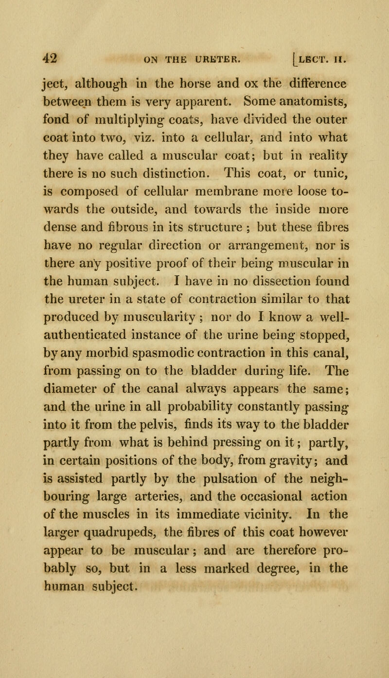 ject, although in the horse and ox the difference between them is very apparent. Some anatomists, fond of multiplying coats, have divided the outer coat into two, viz. into a cellular, and into what they have called a muscular coat; but in reality there is no such distinction. This coat, or tunic, is composed of cellular membrane more loose to- wards the outside, and towards the inside more dense and fibrous in its structure ; but these fibres have no regular direction or arrangement, nor is there any positive proof of their being muscular in the human subject. I have in no dissection found the ureter in a state of contraction similar to that produced by muscularity ; nor do I know a well- authenticated instance of the urine being stopped, by any morbid spasmodic contraction in this canal, from passing on to the bladder during life. The diameter of the canal always appears the same; and the urine in all probability constantly passing into it from the pelvis, finds its way to the bladder partly from what is behind pressing on it; partly, in certain positions of the body, from gravity; and is assisted partly by the pulsation of the neigh- bouring large arteries, and the occasional action of the muscles in its immediate vicinity. In the larger quadrupeds, the fibres of this coat however appear to be muscular; and are therefore pro- bably so, but in a less marked degree, in the human subject.
