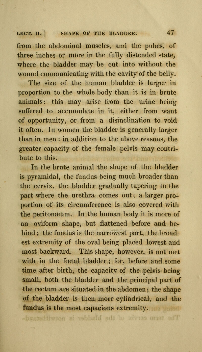 from the abdominal muscles, and the pubes, of three inches or more in the fully distended state, where the bladder may be cut into without the wound communicating with the cavity of the belly. The size of the human bladder is larger in proportion to the whole body than it is in brute animals: this may arise from the urine being suffered to accumulate in it, either from want of opportunity, or from a disinclination to void it often. In women the bladder is generally larger than in men : in addition to the above reasons, the greater capacity of the female pelvis may contri- bute to this. In the brute animal the shape of the bladder is pyi*amidal, the fundus being much broader than the cervix, the bladder gradually tapering to the part where the urethra comes out; a larger pro- portion of its circumference is also covered with the peritonaeum. In the human body it is more of an oviform shape, but flattened before and be- hind ; the fundus is the narrowest part, the broad- est extremity of the oval being placed lowest and most backward. This shape, however, is not met with in the foetal bladder; for, before and some time after birth, the capacity of the pelvis being small, both the bladder and the principal part of the rectum are situated in the abdomen; the shape of the bladder is then, more cylindrical, and the fundus is the most capacious extremity.