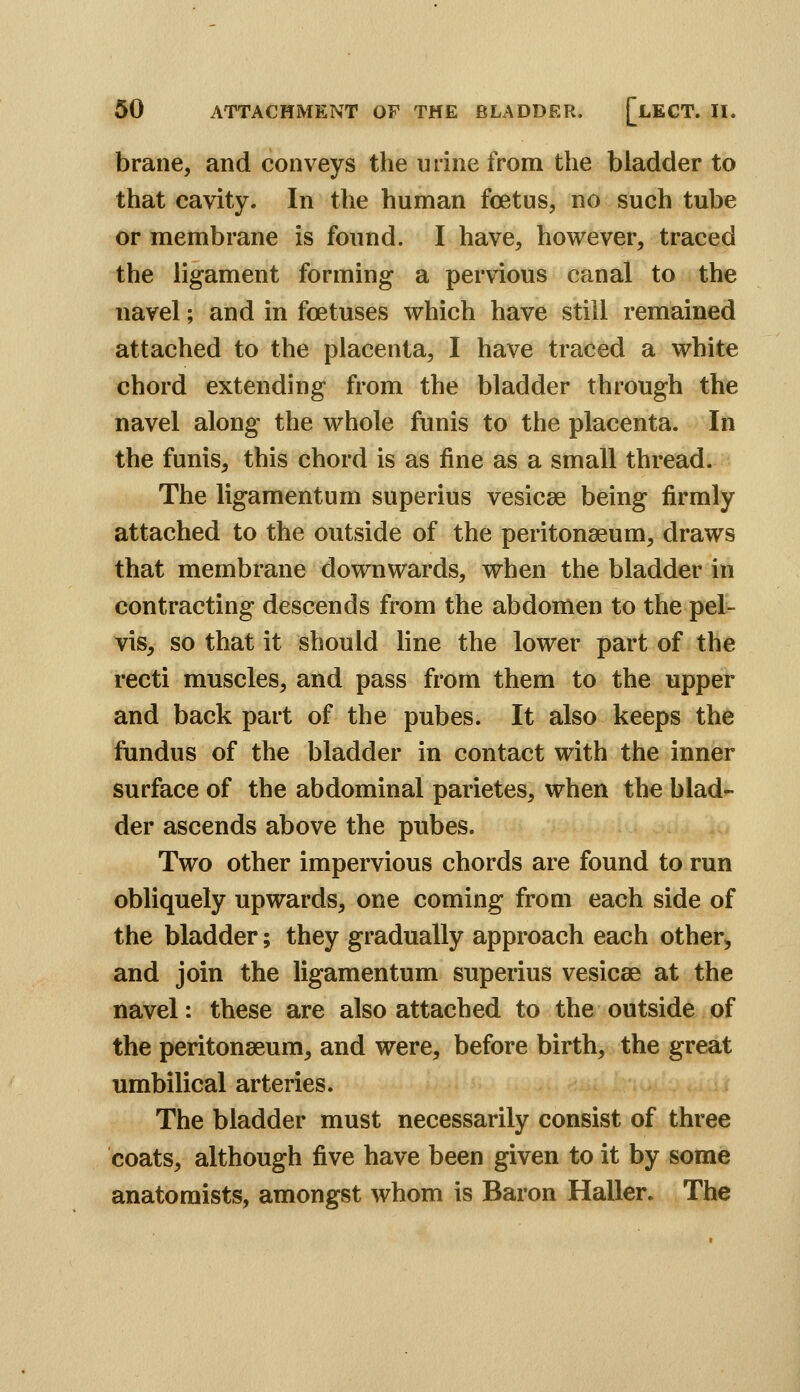 brane, and conveys the urine from the bladder to that cavity. In the human foetus, no such tube or membrane is found. I have, however, traced the ligament forming a pervious canal to the navel; and in foetuses which have still remained attached to the placenta, I have traced a white chord extending from the bladder through the navel along the whole funis to the placenta. In the funis, this chord is as fine as a small thread. The ligamentum superius vesicae being firmly attached to the outside of the peritonaeum, draws that membrane downwards, when the bladder in contracting descends from the abdomen to the pel- vis, so that it should line the lower part of the recti muscles, and pass from them to the upper and back part of the pubes. It also keeps the fundus of the bladder in contact with the inner surface of the abdominal parietes, when the blad- der ascends above the pubes. Two other impervious chords are found to run obliquely upwards, one coming from each side of the bladder; they gradually approach each other, and join the ligamentum superius vesicae at the navel: these are also attached to the outside of the peritonaeum, and were, before birth, the great umbilical arteries. The bladder must necessarily consist of three coats, although five have been given to it by some anatomists, amongst whom is Baron Haller. The