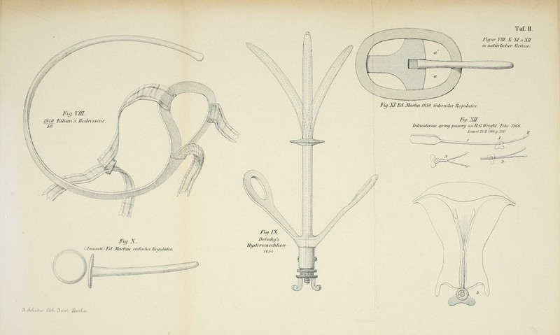 Figur VIII. X. XI„XII in natürlicher Grösse. a Aiu.i.,- fttfi :ii,.( j,v;i;