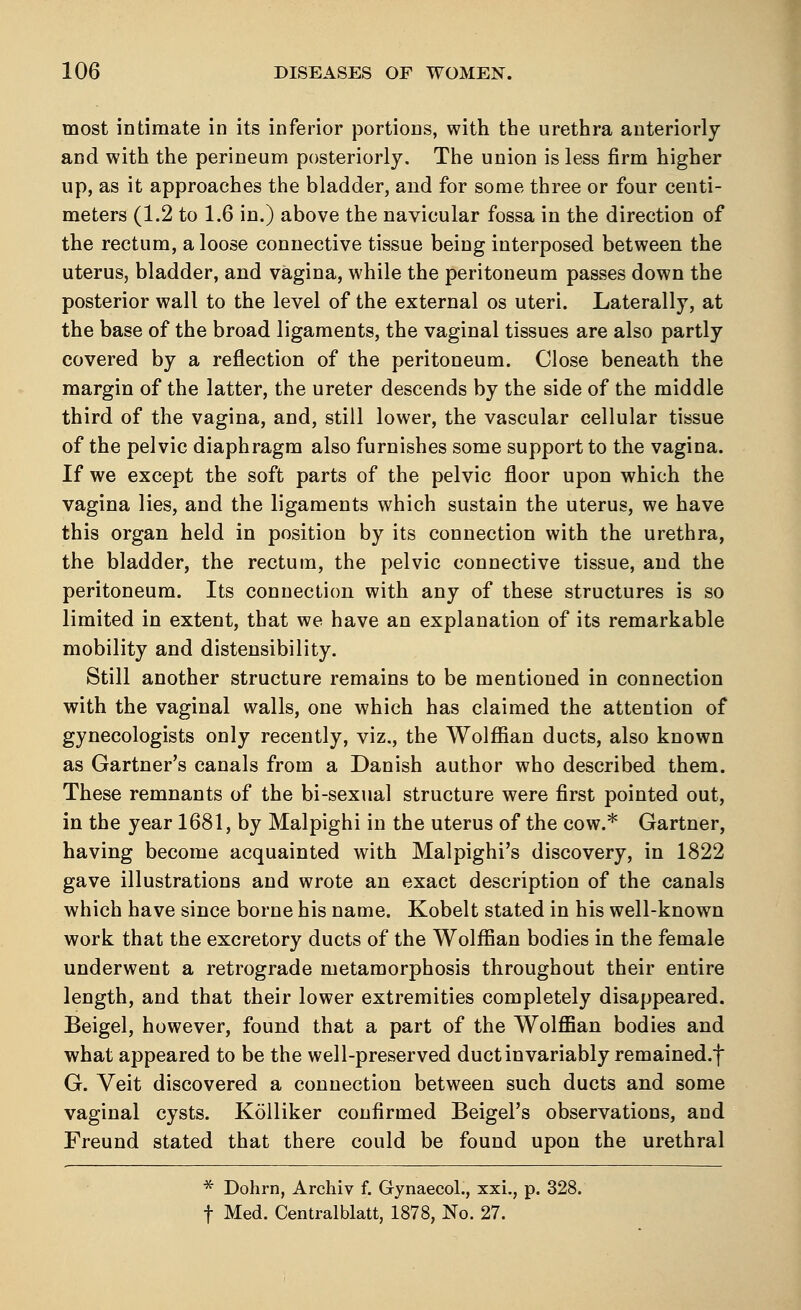 most intimate in its inferior portions, with the urethra anteriorly and with the perineum posteriorly. The union is less firm higher up, as it approaches the bladder, and for some three or four centi- meters (1.2 to 1.6 in.) above the navicular fossa in the direction of the rectum, a loose connective tissue being interposed between the uterus, bladder, and vagina, while the peritoneum passes down the posterior wall to the level of the external os uteri. Laterally, at the base of the broad ligaments, the vaginal tissues are also partly covered by a reflection of the peritoneum. Close beneath the margin of the latter, the ureter descends by the side of the middle third of the vagina, and, still lower, the vascular cellular tissue of the pelvic diaphragm also furnishes some support to the vagina. If we except the soft parts of the pelvic floor upon which the vagina lies, and the ligaments which sustain the uterus, we have this organ held in position by its connection with the urethra, the bladder, the rectum, the pelvic connective tissue, and the peritoneum. Its connection with any of these structures is so limited in extent, that we have an explanation of its remarkable mobility and distensibility. Still another structure remains to be mentioned in connection with the vaginal walls, one which has claimed the attention of gynecologists only recently, viz., the Wolffian ducts, also known as Gartner's canals from a Danish author who described them. These remnants of the bi-sexual structure were first pointed out, in the year 1681, by Malpighi in the uterus of the cow.* Gartner, having become acquainted with Malpighi's discovery, in 1822 gave illustrations and wrote an exact description of the canals which have since borne his name. Kobelt stated in his well-known work that the excretory ducts of the Wolffian bodies in the female underwent a retrograde metamorphosis throughout their entire length, and that their lower extremities completely disappeared. Beigel, however, found that a part of the Wolffian bodies and what appeared to be the well-preserved duct invariably remained.f G. Veit discovered a connection between such ducts and some vaginal cysts. Kolliker confirmed Beigel's observations, and Freund stated that there could be found upon the urethral * Dohrn, Archiv f. Gynaecol., xxi., p. 328. f Med. Centralblatt, 1878, No. 27.