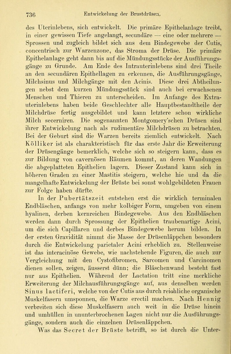 des Uterinlebens, sich entwickelt. Die primäre Epithelanlage treibt, in einer gewissen Tiefe angelangt, secundäre — eine oder mehrere — Sprossen und zugleich bildet sich aus dem Bindegewebe der Cutis, concentrisch zur Warzenzqne, das Stroma der Drüse. Die primäre Epithelanlage geht dann bis auf die Mündungsstücke der Ausführungs- gänge zu Grunde. Am Ende des Intrauterinlebens sind drei Theile an den secundären Epithellagen zu erkennen, die Ausführungsgänge, Milchsinus und Milchgänge mit den Acinis. Diese drei Abtheilun- gen nebst dem kurzen Mimdungsstück sind auch bei erwachsenen Menschen und Thieren zu unterscheiden. Im Anfange des Extra- uterinlebens haben beide Geschlechter alle Hauptbestandtheile der Milchdrüse fertig ausgebildet und kann letztere schon wirkliche Milch secerniren. Die sogenannten Montgomery'sehen Drüsen sind ihrer Entwickelung nach als rudimentäre Milchdrüsen zu betrachten. Bei der Geburt sind die Warzen bereits ziemlich entwickelt. Nach Kölliker ist als charakteristisch für das erste Jahr die Erweiterung der Drüsengänge bemerklich, welche sich so steigern kann, dass es zur Bildung von cavernösen Räumen kommt, an deren Wandungen die abgeplatteten Epithelien lagern. Dieser Zustand kann sich in höheren Graden zu einer Mastitis steigern, welche hie und da die mangelhafte Entwickelung der Brüste bei sonst wohlgebildeten Frauen zur Folge haben dürfte. In der Pubertätszeit entstehen erst die wirklich terminalen Endbläschen, anfangs von mehr kolbiger Form, umgeben von einem hyalinen, derben kernreichen Bindegewebe. Aus den Endbläschen werden dann durch Sprossung der Epithelien traubenartige Acini, um die sich Capillaren und derbes Bindegewebe herum bilden. In der ersten Gravidität nimmt die Masse der Drüsenläppchen besonders durch die Entwickelung parietaler Acini erheblich zu. Stellenweise ist das interacinöse Gewebe, wie nachstehende Figuren, die auch zur Vergleichung mit den Cystofibromen, Sarcomen und Carcinomen dienen sollen, zeigen, äusserst dünn; die Bläschenwand besteht fast nur aus Epithelien. Während der Lactation tritt eine merkliche Erweiterung der Milchausführungsgänge auf, aus denselben werden Sinus lactiferi, welche von der Cutis aus durch reiohliche organische Muskelfasern umsponnen, die Warze erectil machen. Nach Hennig verbreiten sich diese Muskelfasern auch weit in die Drüse hinein und umhüllen in ununterbrochenen Lagen nicht nur die Ausführungs- gänge, sondern auch die einzelnen Drüsenläppchen. Was das Secret der Brüste betrifft, so ist durch die Unter-