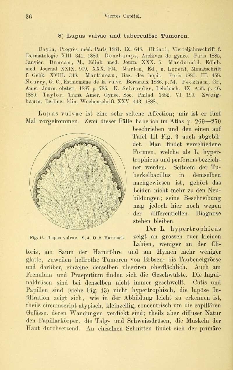 8) Lupus vulvae und tubereulöse Tumoren. Cayla, Progi-es med. Paris 1881. IX. 648. Chiari, Vierteljahrssclirift f. Dermatologie XIll. 341. 1886. Deschamps, Archives de gynec, Paris 1885, Janvier. Duncan, M., Edinb. med. Jom-n. XXX. 5. Macdonald, Edinb. med. Journal XXIX. 909. XXX. 504. Martin, Ed., u. Lorent, Monatschrift f. Gebt. XVIII. 348. Martineau, Gaz. des hopit. Paris 1880. III. 458. Nourry, G. C, Estbiomene de la vulve. Bordeaux 1886. p. 54. Peckbam, Gr., Amer. Journ. obstetr. 1887 p. 785. K. Scbroeder, Lebrbucb. IX. Aufl. p. 46. 1889. Taylor, Trans. Amer. Gynec. Soc. Pbilad. 1882. VI. 199. Zweig- baum, Berliner klin. Wocbenscbrift XXV. 448. 1888.. Lupus vulvae ist eine sehr seltene Affection; mir ist er fünf Mal vorgekommen. Zwei dieser Fälle habe ich im Atlas p. 269—270 beschrieben und den einen auf Tafel in Fig. 3 auch abgebil- det. Man findet verschiedene Formen, welche als L. hyper- trophicus und perforans bezeich- net werden. Seitdem der Tu- berkelbacillus in demselben nachgewiesen ist, gehört das Leiden nicht mehr zu den Neu- bildungen; seine Beschreibung mag jedoch hier noch wegen der diflferentiellen Diagnose stehen bleiben. Der L. hypertrophicus zeigt an grossen oder kleinen Labien, weniger an der Cli- toris, am Saum der Harnröhre und am Hymen mehr weniger glatte, zuweilen hellrothe Tumoren von Erbsen- bis Taubeneigrösse und darüber, einzelne derselben ulceriren oberflächlich. Auch am Frenulum und Praeputium finden sich die Geschwülste. Die Ingui- naldrüsen sind bei denselben nicht immer geschwellt. Cutis und Papillen sind (siehe Fig. 13) nicht hypertrophisch, die lupöse In- filtration zeigt sich, wie in der Abbildung leicht zu erkennen ist, theils circumscript atypisch, kleinzellig, concentrisch um die capiUären Gefässe, deren Wandungen verdickt sind; theils aber diffuser Natur den Papillarkörper, die Talg- und Schweissdrüsen, die Muskeln der Haut durchsetzend. An einzelnen Schnitten findet sich der primäre Fig. 13. Lupus vulvae. S. 4. 0. 2. Hartnack.