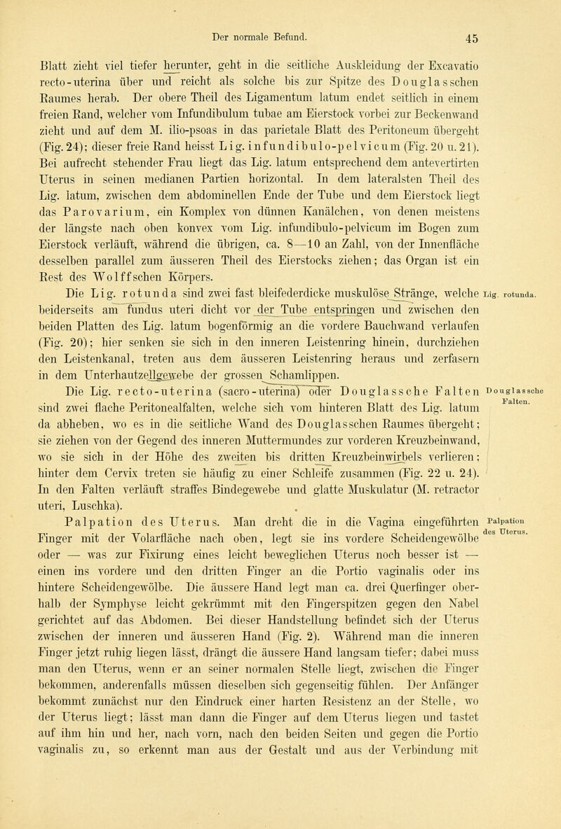 Blatt zieht viel tiefer herunter, geht in die seitliche Auskleidung der Exoavatio recto- uterina über und reicht als solche bis zur Spitze des Douglas sehen Raumes herab. Der obere Theil des Ligamentum latum endet seitlich in einem freien Rand, welcher vom Infundibulum tubae am Eierstock vorbei zur Beckenwand zieht und auf dem M. ilio-psoas in das parietale Blatt des Peritoneum übergeht (Fig. 24); dieser freie Rand heisst Lig. infundibulo-pelvicum (Fig. 20 u. 21). Bei aufrecht stehender Frau liegt das Lig. latum entsprechend dem antevertirten Uterus in seinen medianen Partien horizontal. In dem lateralsten Theil des Lig. latum, zwischen dem abdominellen Ende der Tube und dem Eierstock liegt das Parovarium, ein Komplex von dünnen Kanälchen, von denen meistens der längste nach oben konvex vom Lig. infundibulo-pelvicum im Bogen zum Eierstock verläuft, während die übrigen, ca. 8—10 an Zahl, von der Innenfläche desselben parallel zum äusseren Theil des Eierstocks ziehen; das Organ ist ein Rest des Wolffsehen Körpers. Die Lig. rotunda sind zwei fast bleifederdicke muskulöseJ3tränge, welche Lig. rotunda. beiderseits am fundus uteri dicht vor der Tube entspringen und zwischen den beiden Platten des Lig. latum bogenförmig an die vordere Bauchwand verlaufen (Fig. 20); hier senken sie sich in den inneren Leistenring hinein, durchziehen den Leistenkanal, treten aus dem äusseren Leistenring heraus und zerfasern in dem Unterhautzellgejvebe der grossen Schamlippen. Die Lig. recto-uterina (sacro-uterinay~öder Douglassche Falten Dougiassche sind zwei flache Peritonealfalten, welche sich vom hinteren Blatt des Lig. latum da abheben, wo es in die seitliche Wand des Douglas sehen Raumes übergeht; sie ziehen von der Gegend des inneren Muttermundes zur vorderen Kreuzbeinwand, wo sie sich in der Höhe des zweiten bis dritten Kreuzbeinwirbels verlieren; hinter dem Cervix treten sie häufig zu einer Schleife zusammen (Fig. 22 u. 24). In den Falten verläuft straffes Bindegewebe und glatte Muskulatur (M. retractor uteri, Luschka). Palpation des Uterus. Man dreht die in die Vagina eingeführten ^aipation Finger mit der Volarfläche nach oben, legt sie ins vordere Scheidengewölbe oder — was zur Fixirung eines leicht beweglichen Uterus noch besser ist — einen ins vordere und den dritten Finger an die Portio vaginalis oder ins hintere Scheidengewölbe. Die äussere Hand legt man ca. drei Querfinger ober- halb der Symphyse leicht gekrümmt mit den Fingerspitzen gegen den Nabel gerichtet auf das Abdomen. Bei dieser Handstellung befindet sich der Uterus zwischen der inneren und äusseren Hand (Fig. 2). Während man die inneren Finger jetzt ruhig liegen lässt, drängt die äussere Hand langsam tiefer; dabei muss man den Uterus, wenn er an seiner normalen Stelle liegt, zwischen die Finger bekommen, anderenfalls müssen dieselben sich gegenseitig fühlen. Der Anfänger bekommt zunächst nur den Eindruck einer harten Resistenz an der Stelle, wo der Uterus liegt; lässt man dann die Finger auf dem Uterus liegen und tastet auf ihm hin und her, nach vorn, nach den beiden Seiten und gegen die Portio vaginalis zu, so erkennt man aus der Gestalt und aus der Verbindung mit