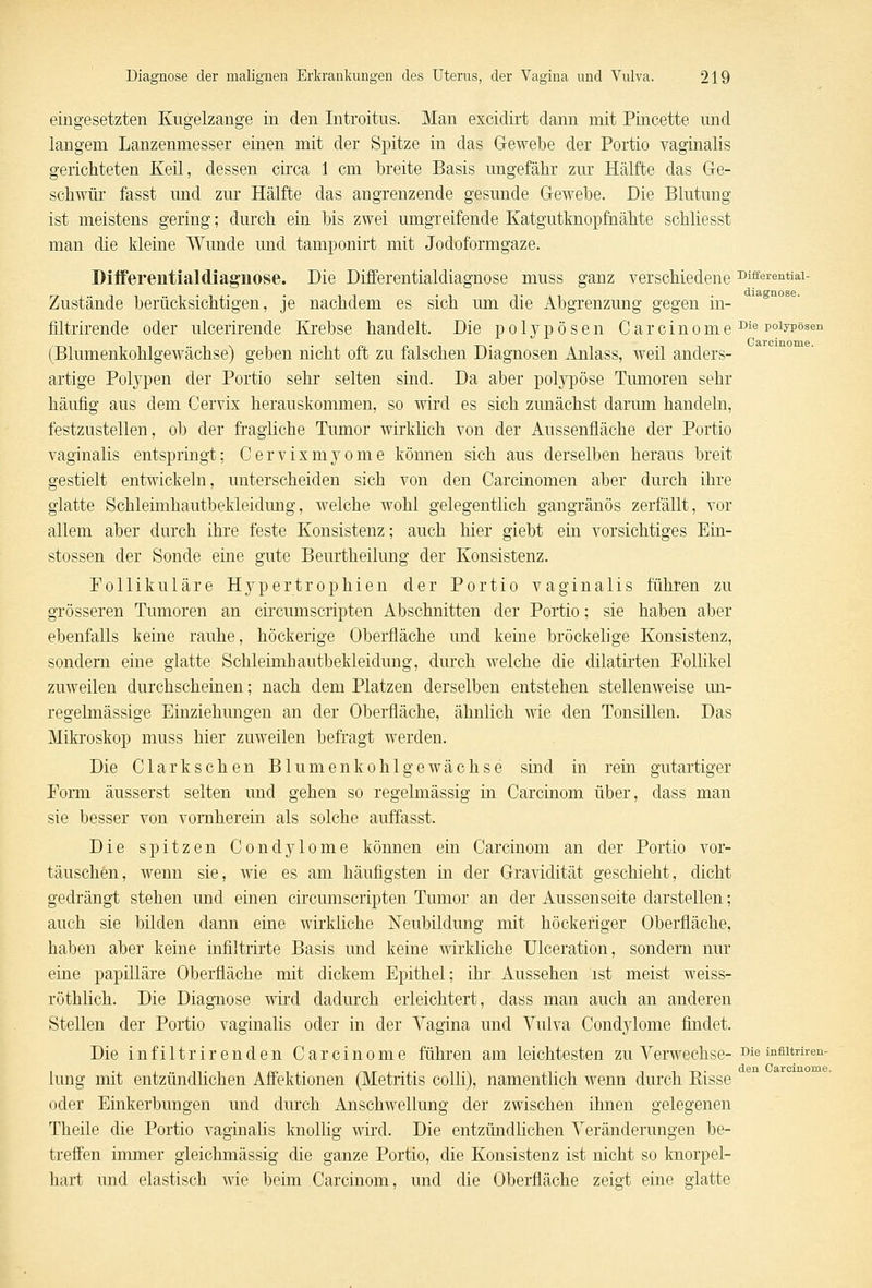 eingesetzten Kugelzange in den Introitus. Man excidirt dann mit Pincette und langem Lanzenmesser einen mit der Spitze in das Gewebe der Portio vaginalis gerichteten Keil, dessen circa 1 cm breite Basis ungefähr zur Hälfte das Ge- schwür fasst und zur Hälfte das angrenzende gesunde Gewebe. Die Blutung ist meistens gering; durch ein bis zwei umgreifende Katgutknopfnähte schliesst man die kleine Wunde und tamponirt mit Jodoformgaze. Differentialdiagnose. Die Differentialdiagnose muss ganz verschiedene ^ifferentiai- Zustände berücksichtigen, je nachdem es sich um die Abgrenzung gegen in- filtrirende oder ulcerirende Krebse handelt. Die polypösen CarcinomeDie polypösen (Blumenkohlgewächse) geben nicht oft zu falschen Diagnosen Anlass, weil anders- artige Polypen der Portio sehr selten sind. Da aber polypöse Tumoren sehr häufig aus dem Cervix herauskommen, so wird es sich zunächst darum handeln, festzustellen, ob der fragliche Tumor wirklich von der Aussenfläche der Portio vaginalis entspringt; Cervixmyome können sich aus derselben heraus breit gestielt entwickeln, unterscheiden sich von den Carcinomen aber durch ihre glatte Schleimhautbekleidung, welche wohl gelegentlich gangränös zerfällt, vor allem aber durch ihre feste Konsistenz; auch hier giebt ein vorsichtiges Ein- stossen der Sonde eine gute Beurtheilung der Konsistenz. Follikuläre Hypertrophien der Portio vaginalis führen zu grösseren Tumoren an circumscripten Abschnitten der Portio; sie haben aber ebenfalls keine rauhe, höckerige Oberfläche und keine bröckelige Konsistenz, sondern eine glatte Schleimhautbekleidung, durch welche die dilatirten Follikel zuweilen durchscheinen; nach dem Platzen derselben entstehen stellenweise un- regelmässige Einziehungen an der Oberfläche, ähnlich wie den Tonsillen. Das Mikroskop muss hier zuweilen befragt werden. Die Clarkschen Blumenkohlgewächse sind in rein gutartiger Form äusserst selten und gehen so regelmässig in Carcinom über, dass man sie besser von vornherein als solche auffasst. Die spitzen Condylome können ein Carcinom an der Portio vor- täuschen, wenn sie, wie es am häufigsten in der Gravidität geschieht, dicht gedrängt stehen und einen circumscripten Tumor an der Aussenseite darstellen; auch sie bilden dann eine wirkliche Neubildung mit höckeriger Oberfläche, haben aber keine infiltrirte Basis und keine wirkliche Ulceration, sondern nur eine papilläre Oberfläche mit dickem Epithel; ihr Aussehen ist meist weiss- röthlich. Die Diagnose wird dadurch erleichtert, dass man auch an anderen Stellen der Portio vaginalis oder in der Yagina und Vulva Condjdome findet. Die infiltrirenden Carcinome führen am leichtesten zu Verwechse- Die infiitnren- lung mit entzündlichen Affektionen (Metritis colli), namentlich wenn durch Bisse oder Einkerbungen und durch Anschwellung der zwischen ihnen gelegenen Theile die Portio vaginalis knollig wird. Die entzündlichen Veränderungen be- treffen immer gleichmässig die ganze Portio, die Konsistenz ist nicht so knorpel- hart und elastisch wie beim Carcinom, und die Oberfläche zeigt eine glatte