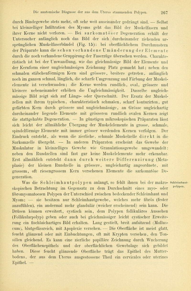 durch Bindegewebe stets mehr, oft sehr weit auseinander gedrängt sind. — Selbst bei kleinzelliger Infiltration des Myoms geht das Bild der Muskelfasern und ihrer Kerne nicht verloren. — Bei sarkomatöser Degeneration erhält der Untersucher anfänglich noch das Bild der sich durcheinander ziehenden ur- sprünglichen Muskelfaserbündel (Fig. 15): bei oberflächlichem Durchmustern der Präparate kann die schon vorhandene Umänderung der Elemente durch die noch vorhandene Gruppirung der Faserzüge übersehen werden. Charakte- ristisch ist bei der Umwandlung, wie das gleichmässige Bild der Elemente und der Kernform einer ungleichmässigen Zeichnung Platz gemacht hat; neben den schmalen stäbchenförmigen Kern sind grössere, breitere getreten, anfänglich noch im ganzen schmal, länglich, die scharfe Umgrenzung und Färbung der Muskel- elemente ist verschwunden; die Kerne werden rundlich, oval, grössere und kleinere nebeneinander erhöhen die Ungleichmässigkeit. Dasselbe ungleich- massige Bild zeigt sich auf Längs- oder Querschnitt. Der Ersatz der Muskel- zellen mit ihrem typischen, charakteristisch schmalen, scharf konturirten, gut gefärbten Kern durch grössere und ungleichmässige, an Grösse ungleichartig durcheinander liegende Elemente mit grösseren rundlich ovalen Kernen zeigt die stattgehabte Degeneration. — In günstigen mikroskopischen Präparaten lässt sich leicht der allmähliche Übergang der Muskelelemente in grosse, schmale, spindelförmige Elemente mit immer grösser werdenden Kernen verfolgen. Der Eindruck entsteht, als wenn die zierliche, schmale Muskelzelle direkt in die Sarkomzelle übergeht. — In anderen Präparaten erscheint das Gewebe der Muskulatur in kleinzelliges Gewebe wie Granulationsgewebe umgewandelt: neben den Rundzellen sind fast gar keine Muskelelemente mehr erkennbar. Erst allmählich entsteht dann durch weitere Differenzirung (Meta- plasie) der kleinen Rundzelle in grössere, ungleichartig angeordnete, mit grossem, oft riesengrossem Kern versehenen Elemente die sarkomatöse De- generation. Was die Schleimhautpolypen anlangt, so fehlt ihnen bei der makro- schieimhaut- skopischen Betrachtung im Gegensatz zu dem Durchschnitt eines myo- oder po ypen fibromyomatoesen Polypen der Unterschied zwischen bedeckender Schleimhaut und Myom; — sie besitzen nur Schleimhautgewebe, welches mehr fibrös (fester anzufühlen), ein andermal mehr glandulär (weicher erscheinend) sein kann. Die Drüsen können erweitert, cystisch sein, dem Polypen follikuläres Aussehen (Follikularpolyp) geben oder auch bei gleichmässiger leicht cystischer Erweite- rung ein fischlaichartiges Bild erhalten. Lang gestielt, breit aufsitzend (Mollus- cum), blutgefässreich, mit Apoplexie versehen. — Die Oberfläche ist meist glatt, feucht glänzend oder mit Einbuchtungen, oft mit Krypten versehen, den Ton- sillen gleichend. Es kann eine zierliche papilläre Zeichnung durch Wucherung des Oberflächenepithels und der oberflächlichen Gewebslage sich gebildet haben. Diese feucht glänzende Oberfläche trägt das Epithel des Mutter- bodens, der aus dem Uterus ausgestossene Theil ein cervicales oder uterines Epithel. —