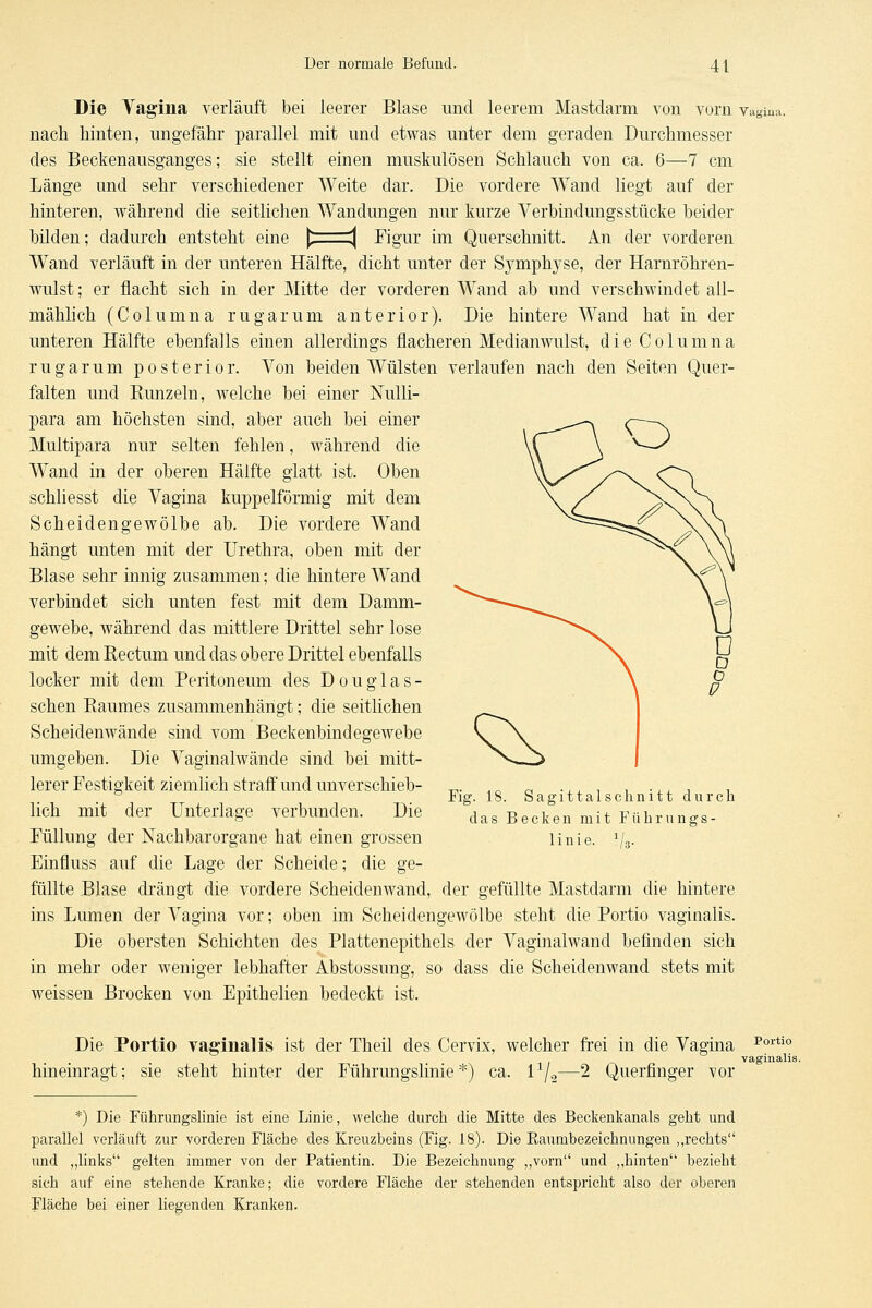 Die Tagina verläuft bei leerer Blase und leerem Mastdarm von vurn vagma. nach hinten, ungefähr parallel mit und etwas unter dem geraden Durchmesser des Beckenausganges; sie stellt einen muskulösen Schlauch von ca. 6—7 cm Länge und sehr verschiedener Weite dar. Die vordere Wand liegt auf der hinteren, während die seitlichen Wandungen nur kurze Verbindungsstücke heider bilden; dadurch entsteht eine ^ '\ Figur im Querschnitt. An der vorderen Wand verläuft in der unteren Hälfte, dicht unter der Sj'^mphyse, der Harnröhren- wulst ; er flacht sich in der Mitte der vorderen Wand ab und verschwindet all- mählich (Columna rugarum anterior). Die hintere Wand hat in der unteren Hälfte ebenfalls einen allerdings flacheren Medianwulst, die Columna rugarum posterior. Von beiden Wülsten verlaufen nach den Seiten Quer- falten und Runzeln, welche bei einer NuUi- para am höchsten sind, aber auch bei einer Multipara nur selten fehlen, während die Wand in der oberen Hälfte glatt ist. Oben schhesst die Vagina kuppeiförmig mit dem Scheidengewölbe ab. Die vordere Wand hängt unten mit der Urethra, oben mit der Blase sehr innig zusammen; die hintere Wand verbindet sich unten fest mit dem Damm- gewebe, während das mittlere Drittel sehr lose mit dem Rectum und das obere Drittel ebenfalls locker mit dem Peritoneum des Douglas- schen Raumes zusammenhängt; die seitlichen Scheidenwände sind vom Beckenbindegewebe umgeben. Die Vaginalwände sind bei mitt- lerer Festigkeit ziemlich straff und unverschieb- lich mit der Unterlage verbunden. Die Füllung der Nachbarorgane hat einen grossen Einfluss auf die Lage der Scheide; die ge- füllte Blase drängt die vordere Scheidenwand, der gefüllte Mastdarm die hintere ins Lumen der Vagina vor; oben im Scheidengewölbe steht die Portio vaginalis. Die obersten Schichten des Plattenepithels der Vaginalwand befinden sich in mehr oder weniger lebhafter Abstossung, so dass die Scheidenwand stets mit weissen Brocken von Epithelien bedeckt ist. Fig. 18. Sagittalsclinitt durch das Becken mit Fiihrungs- linie. ^U. Die Portio vaginalis ist der Theil des Cervix, welcher frei in die Vagina ^°'^*'° vaginalis hinemragt; sie steht hinter der Führungslinie*) ca. 1 /^—2 Quernnger vor *) Die Führungslinie ist eine Linie, welche durch die Mitte des Beckenkanals geht und parallel verläuft zur vorderen Fläche des Kreuzbeins (Fig. 18). Die Eaumbezeichnungen ,,rechts und „links gelten immer von der Patientin. Die Bezeichnung „vorn und ,,hinten bezieht sich auf eine stehende Kranke; die vordere Fläche der stehenden entspricht also der oberen Fläche bei einer liegenden Kranken.