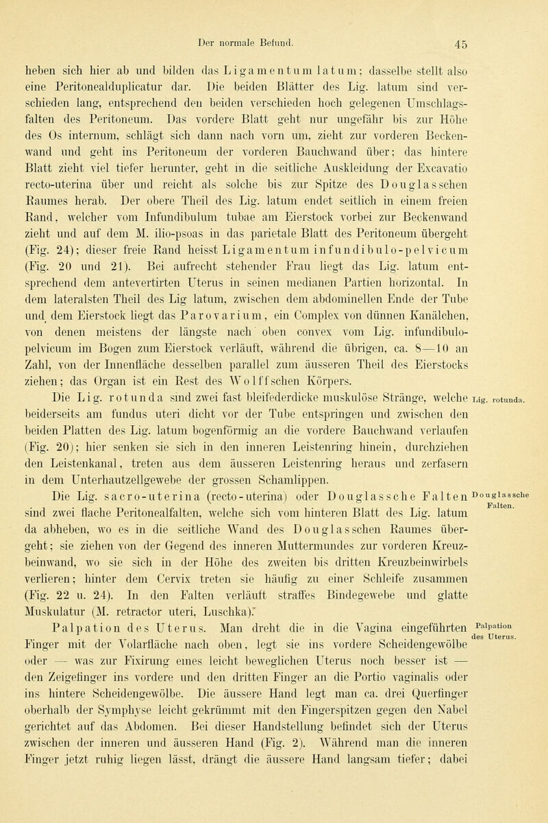 heben sich hier ab und bilden das Ligamentum 1 a t u m; dasselbe stellt also eine Peritonealduplicatur dar. Die beiden Blätter des Lig. latum sind ver- schieden lang, entsprechend den beiden verschieden hoch gelegenen ümschlags- falten des Peritoneum. Das vordere Blatt geht nur ungefähr bis zur Höhe des Os internum, schlägt sich dann nach vorn um, zieht zur vorderen Becken- wand und geht ins Peritoneum der vorderen Bauchwand über; das hintere Blatt zieht viel tiefer herunter, geht in die seitliche Auskleidung der Excavatio recto-uterina über und reicht als solche bis zur Spitze des Douglas sehen Baumes herab. Der obere Theil des Lig. latum endet seitlich in einem freien Rand, welcher vom Infundibulum tubae am Eierstock vorbei zur Beckenwand zieht und auf dem M. ilio-psoas in das parietale Blatt des Peritoneum übergeht (Fig. 24); dieser freie Rand heisst Ligamentum infundibulo-p elvi cum (Fig. 20 und 21). Bei aufrecht stehender Frau liegt das Lig. latum ent- sprechend dem antevertirten Uterus in seinen medianen Partien horizontal. Li dem lateralsten Theil des Lig latum, zwischen dem abdominellen Ende der Tube und dem Eierstock liegt das Parovarium, ein Complex von dünnen Kanälchen, von denen meistens der längste nach' oben convex vom Lig. infundibulo- pelvicum im Bogen zum Eierstock verläuft, während die übrigen, ca. 8—10 an Zahl, von der Innenfläche desselben parallel zum äusseren Theil des Eierstocks ziehen; das Organ ist ein Rest des Wölfischen Körpers. Die Lig. rotunda smd zwei fast bleifederdicke muskulöse Stränge, welche Lig. rotunda. beiderseits am fundus uteri dicht vor der Tube entspringen und zwischen den beiden Platten des Lig. latum bogenförmig an die vordere Bauchwand verlaufen (Fig. 20); hier senken sie sich in den inneren Leistenring hinein, durchziehen den Leistenkanal, treten aus dem äusseren Leistenring heraus und zerfasern in dem Unterhautzellgewebe der grossen Schamlippen. Die Lig. sacro-uterina (recto-uterina) oder Douglas sehe Falten ^gi^^sche sind zwei flache Peritonealfalten, welche sich vom hinteren Blatt des Lig. latum da abheben, wo es in die seitliche Wand des Don glas sehen Raumes über- geht ; sie ziehen von der Glegend des inneren Muttermundes zur vorderen Kreuz- beinwand, wo sie sich in der Höhe des zweiten bis dritten Kreuzbeinwirbels verlieren; hinter dem Cervix treten sie häufig zu einer Schleife zusammen (Fig. 22 u. 24). In den Falten verläuft straffes Bindegewebe und glatte Muskulatur (M. retractor uteri, Luschka).' Palpation des Uterus. Man dreht die in die Vagina eingeführten i'^ipatio'^ des Uterus. Finger mit der Volarfläche nach oben, legt sie ins vordere Scheidengewöibe oder — was zur Fixirung emes leicht beweglichen Uterus noch besser ist — den Zeigefinger ins vordere und den dritten Finger an die Portio vaginalis oder ins hintere Scheidengewölbe. Die äussere Hand legt man ca. drei Querfinger oberhalb der Symphyse leicht gekrümmt mit den Fingerspitzen gegen den Nabel gerichtet auf das Abdomen. Bei dieser Handstellung befindet sich der Uterus zwischen der inneren und äusseren Hand (Fig. 2). Während man die inneren Finger jetzt ruhig liegen lässt, drängt die äussere Hand langsam tiefer; dabei
