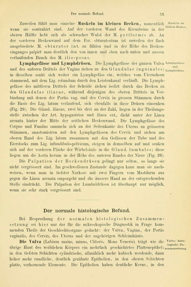 Zuweilen fühlt man einzelne Muskelu im kleinen Becken, namentlich Muskeln im wenn sie contrahirt sind. Auf der vorderen Wand des Kreuzbeins in der oberen Hälfte hebt sich als schwacher Wulst der M. pyriformis ab. An der vorderen Beckenwand auf dem For. obturatorium ist zuweilen der flach ausgebreitete M. obturator int. zu fühlen und in der Höhe des Becken- einganges palpirt man deutlich den von innen und oben nach unten und aussen verlaufenden Bauch des M. ilio-psoas. Lymphgefässe und Lymphdrüsen. Die Lymphgefässe der ganzen Vulva Lymphgefässe und des unteren Drittels der Vagina ziehen zu den Glandulae inguinales; Ly^pi^drüsen. in dieselben senkt sich weiter ein Lymphgefäss ein, welches vom Uterushorn stammend, mit dem Lig. rotundum durch den Leistenkanal verläuft. Die Lymph- gefässe des mittleren Drittels der Scheide ziehen isolirt durch das Becken zu den Grlandulae iliacae, während diejenigen des oberen Drittels in Ver- bindung mit denen der Portio vag. und des Cervix in grossen Stämmen durch die Basis des Lig. latum verlaufend, sich ebenfalls in diese Drüsen einsenken (Fig. 29). Die Gland. iliacae, zwei bis -drei an der Zahl, liegen in der Theilungs- stelle zwischen der Art. hypogastrica und iliaca ext., dicht unter der Linea arcuata hinter der Mitte der seitlichen Beckenwand. Die Lymphgefässe des Corpus und Fundus sammeln sich an der Seitenkante des Uterus zu grösseren Stämmen, anastomisiren mit den Lymphgefässen des Cervix und ziehen am oberen Band des Lig. latum zusammen mit den Gefässen der Tube und des Eierstocks zum Lig. infundibulo-pelvicum, steigen in demselben auf und senken sich auf der vorderen Fläche der Wirbelsäule in die Gland. lumbales; diese liegen um die Aorta herum in der Höhe des unteren Randes der Niere (Fig. 39). Die Palpation der Beckendrüsen gelingt nur selten, so lange sie nicht vergrössert sind. Im geschwollenen Zustande dagegen kann man sie nach- weisen, wenn man in tiefster Narkose mit zwei Fingern vom Mastdarm aus gegen die Linea arcuata emporgeht und die äussere Hand an der entsprechenden Stelle eindrückt. Die Palpation der Lumbaidrüsen ist überhaupt nur möglich, wenn sie sehr stark vergrössert sind. Der normale histologische Befund. Bei Besprechung der normalen histologischen Zusammen- setzung sei hier nur der für die mikroskopische Diagnostik in Frage kom- menden Theile der Geschlechtsorgane gedacht: der Vulva, Vagina, der Portio vaginalis, des Cervix, des Uterus und der zugehörigen Schleimhäute. Die Vulva (Labium malus, minus, Clitoris, Mons Veneris) trägt wie die ^i'^*: histo- logische Zu- übrige Haut des weiblichen Körpers ein mehrfach geschichtetes Plattenepithel; sammensetzung. in den tiefsten Schichten cylindrische, allmählich mehr kubisch werdende, dann höher mehr rundliche, deutlich gezähnte Epithelien, in den oberen Schichten platte, verhornende Elemente. Die Epithelien haben deutliche Kerne, in den