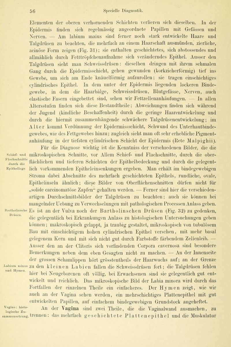 Elementen der oberen verhornenden Schichten verlieren sich dieselben. In der Epidermis finden sich regelmässig angeordnete Papillen mit Gefässen und Nerven. — Am labium malus sind ferner noch stark entwickelte Haare und Talgdrüsen zu beachten, die mehrfach an einem Haarschaft ausmünden,' zierliche, acinöse Form zeigen (Fig. 31); sie enthalten geschichtetes, sich abstossendes und allmählich durch Fetttröpfchenaufnahme sich veränderndes Epithel. Ausser den Talgdrüsen sieht man Schweissdrüsen: dieselben dringen mit ihrem schmalen Gang dm'ch die Epidermisschicht, gehen gewunden (korkzieherförmig) tief ins Gewebe, um sich am Ende 'knäuelförmig aufzurollen; sie tragen einschichtiges cjdindrisches Epithel. In dem unter der Epidermis liegenden lockeren Binde- gewebe, in dem die Haarbälge, Schweissdrüsen, Blutgefässe, Nerven, auch elastische Fasern eingebettet sind, sehen wir Fettzellenanhäufungen. — In allen Altersstufen finden sich diese Bestandtheile; Abweichungen finden sich während der Jugend (kindliche Beschaffenheit) durch die geringe Haarentwickelung und durch die hiermit zusammenhängende schwächere Talgdrüsenentwickelung; im Alter kommt Verdünnung der Epidermissschicht, Schwund des Unterhautbinde- gewebes, wie des Fettgewebes hinzu; zugleich sieht man oft sehr erhebliche Pigment- anhäufung in der tiefsten cylindrischen Schicht der Epidermis (Bete Malpighii). Für die Diagnose wichtig ist die Kenntniss der verschiedenen Bilder, die die Schief- und mikroskopischen Schnitte, vor Allem Schief- und Flachschnitte, dm'ch die ober- durohdie ^ flächlichen und tieferen Schichten der Epithelbedeckung und durch die gelegent- Bpitheihige. lieh vorkommenden Epitheleinsenkungen ergeben. Man erhält im bindegewebigen Stroma dabei Abschnitte des mehrfach geschichteten Epithels, rundliche, ovale, Epithelinseln ähnlich; diese Bilder von Oberfiächenschnitten dürfen nicht für „solide carcinomatöse Zapfen gehalten werden. — Ferner sind hier die verschieden- artigen Durchschnittsbilder der Talgdrüsen zu beachten; auch sie können bei mangelnder Uebung zu Verwechselungen mit pathologischen Processen Anlass geben. Kaithoiinsciie Eg ist au dcr Vulva noch der Bartholinschen Drüsen (Fig. 32) zu gedenken, die gelegentlich bei Erkrankungen Anlass zu histologischen Untersuchungen geben können; makroskopisch gelappt, ja traubig gestaltet, mikroskopisch von tubulösem Bau mit einschichtigem hohen cj-lindrischen Epithel versehen, mit mehr basal gelegenem Kern und mit sich nicht gut durch Farbstoffe färbendem Zellenleib. — Ausser den an der Clitoris sich vorfindenden Corpora cavernosa sind besondere Bemerkungen neben dem eben Gesagten nicht zu machen. — An der Innenseite der grossen Schamlippen hört grösstentheils der Haarwuchs auf; an der Grenze Labium nüims ZU deu kleinen Labien fällen die Schweissdrüsen fort; die Talgdrüsen fehlen und Hymen, .... ■ t x hier bei ,N eugeborenen oft völlig, bei Erwachsenen sind sie gelegentlich gut ent- wickelt und reichlich. Das mikroskopische Bild der Labia minora wird durch das Fortfallen der einzelnen Theile ein einfacheres. Der H3^men zeigt, wie wir auch an der Vagina sehen werden, ein mehrschichtiges Plattenepithel mit gut entwickelten Papillen, auf einfachem bindegewebigen Grundstock angeheftet. Vagina: histo- ^j^ (jgj, Tagiiia slud zwei Theile, die die Vaginalwand ausmachen, zu logische Zu- ' o sammensetzung. trenncu: das mehrfach geschichtete Platten epithel und die Muskulatur