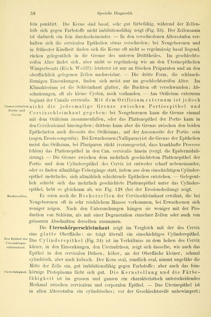 fein punktirt. Die Kerne sind basal, sehr gnt färbefähig, während der Zellen- leib sich gegen Farbstoffe nicht imbibitionsfähig zeigt (Fig. 33). Der Zellensaum ist dadurch ein fein durchscheinender. — In den verschiedenen Altersstufen ver- halten sich die cervicalen Epithelien etwas verschieden; bei Neugeborenen und in frühester Kindheit finden sich die Kerne oft nicht so regelmässig basal liegend, rücken gelegentlich in die Grenze des unteren Dritttheiles. Im geschlechts- reifen Alter findet sich, aber nicht so regelmässig wie an den Uterinepithelien Wimperbesatz (Eich. Wolff): letzterer ist nur an frischen Präparaten und an den oberflächlich gelegenen Zellen nachweisbar. — Die dritte Form, die schlauch- förmigen Einsenkungen, finden sich meist nur im geschlechtsreifen Alter. Im Klimakterium ist die Schleimhaut glatter, die Buchten oft verschwunden; Ab- schnürungen, oft als kleine Cj^sten, noch vorhanden. — Am Oriticium externum beginnt der Canalis cervicalis. Mit dem Orificium externum ist jedoch Grenzezwischennicht die jedesmalige Qrenze zwischen Portioepithel und °cervix° Cervixschleimhaut gegeben: bei Neugeborenen kann die Grenze einmal mit dem Orificium zusammenfallen, oder das Plattenepithel der Portio kann in den Cervilcalcanal hineingehen; drittens kann aber die Grenze zwischen den beiden Epithelarten auch diesseits des Orificiums, auf der Aussenseite der Portio sein (sogen. Erosio congenita). Bei Erwachsenen (Nulliparae) ist die Grenze der Epithelien meist das Orificium, bei Pluriparen rückt (vorausgesetzt, dass krankhafte Processe fehlen) das Plattenepithel in den Can. cervicalis hinein (vergl. die Epidermidali- sirung). — Die Grenze zwischen dem mehrfach geschichtetem Plattenepithel der Portio und dem Cylinderepithel des Cervix ist entweder scharf nebeneinander, oder es finden allmählige üebergänge statt, indem aus dem einschichtigen Cylinder- epithel mehrfache, sich allmählich schichtende Epithelien entstehen. — Gelegent- lich schiebt sich das mehrfach geschichtete Plattenepithel unter das Cylinder- epithel, hebt es gleichsam ab, wie Fig. 128 (bei der Erosionsheilung) zeigt. Becheizeiieu. Es scicu uoch dic BecherZellen der Cervixschleimhaut erwähnt, die bei Neugeborenen oft in sehr reichlichem Maasse vorkommen, bei Erwachsenen sich . weniger zeigen. Nach den Untersuchmigen hängen sie weniger mit der Pro- duction von Schleim, als mit einer Degeneration einzelner Zellen oder auch von grösseren Abschnitten derselben zusammen. Die Uteruskörpersclileimliaiit zeigt im Vergleich mit der des Cervix eine glatte Oberfläche: sie trägt überall ein einschichtiges Cylinderepithel. Das Epithel der j)^g Cylinderepithel (Fig. 34) ist im Yerhältniss zudem hohen des Cervix Uteruskörper- ^ -■ \ o y Schleimhaut, kürzcr, lu dou Eiusenkungen, den Uterindrüsen, zeigt sich dasselbe, wie auch das Epithel in den cervicalen Drüsen, höher, an der Oberfläche kleiner, schmal cylindrisch, aber auch kubisch. Der Kern oval, rundlich oval, nimmt ungefähr die Mitte der Zelle ein, gut imbibitionsfähig gegen Farbstoffe; aber auch das fein- yärbefähigkeit.;körnige Protoplasma färbt sich gut. Die Kernstellung und die Färbe- fähigkeit ist im grossen und ganzen ein charakteristisch unterscheidendes Merkmal zwischen cervicalem und corporalen Epithel. — Das Uterinepithel ist in allen Altersstufen ein cylindrisches: vor der Geschlechtsreife unbewimpert;
