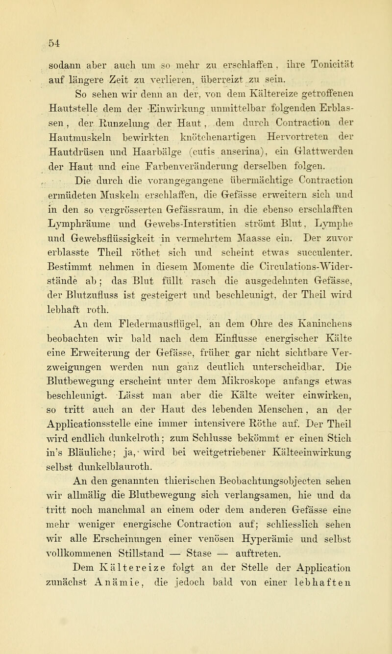 sodann aber auch um so melir zu erschlaffen , ihre Tonicität auf längere Zeit zu verlieren, überreizt,zu sein. So sehen wir denn an der. von dem Kältereize getroffenen Hautstelle dem der -Einwirkung unmittelbar folgenden Erblas- sen , der Runzelung der Haut, dem durch Contraction der Hautmuskeln bewirkten knötchenartigen Hervortreten der Hautdrüsen und Haarbälge (cutis anserina), ein Glattwerden der Haut und eine Farbenveränderung derselben folgen. : Die durch die vorangegangene übermächtige Contraction ermüdeten Muskeln erschlaffen, die Grefässe erweitern sich und in den so vergrösserten Gefässraum, in die ebenso erschlafften Lymphräume und Gewebs-Interstitien strömt Blut, Ljnnphe und Gewebsflüssigkeit in vermehrtem llaasse ein. Der zuvor erblasste Theil rötliet sich und scheint etwas succulenter. Bestimmt nehmen in diesem Momente die Circulations-Wider- stände ab; das Blut füllt rasch die ausgedehnten Geiässe, der Blutzufluss ist gesteigert und beschleunigt, der Theil wird lebhaft roth. An dem Fledermausfliigel, an dem Ohre des Kaninchens beobachten wir bald nach dem Einflüsse energischer Kälte eine Erweiterung der Gefässe, früher gar nicht sichtbare Ver- zweigungen werden nun ganz deutlich unterscheidbar. Die Blutbewegung erscheint unter dem Mikroskope anfangs etwas beschleunigt. Lässt man aber die Kälte weiter einwirken, so tritt auch an der Haut des lebenden Menschen, an der Applicationsstelle eine immer intensivere Röthe auf. Der Theil wird endlich dunkelroth; zum Schlüsse bekömmt er einen Stich in's Bläuliche; ja,- wird bei weitgetriebener Kälteeinwirkung selbst dunkelblauroth. An den genannten thierischen Beobachtungsobjecten sehen wir allmälig die Blutbewegung sich verlangsamen, hie und da tritt noch manchmal an einem oder dem anderen Gefässe eine mehr weniger energische Contraction auf; schliesslich sehen wir alle Erscheinungen einer venösen Hyperämie und selbst vollkommenen Stillstand — Stase — auftreten. Dem Kältereize folgt an der Stelle der Application zunächst Anämie, die jedoch bald von einer lebhaften