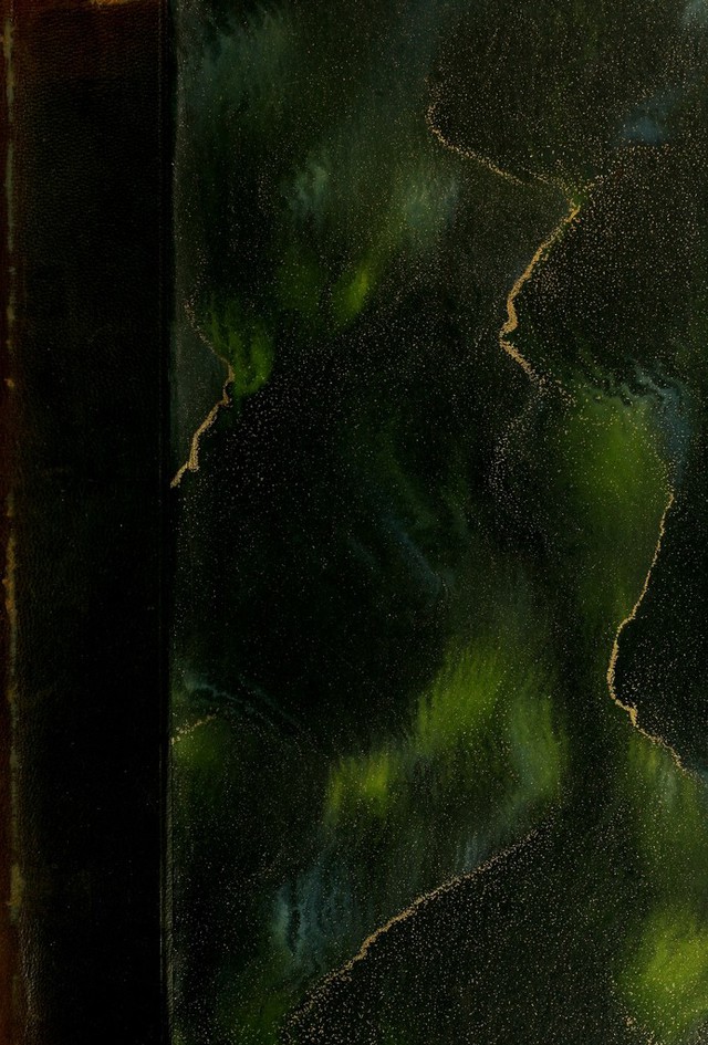 No text description is available for this image