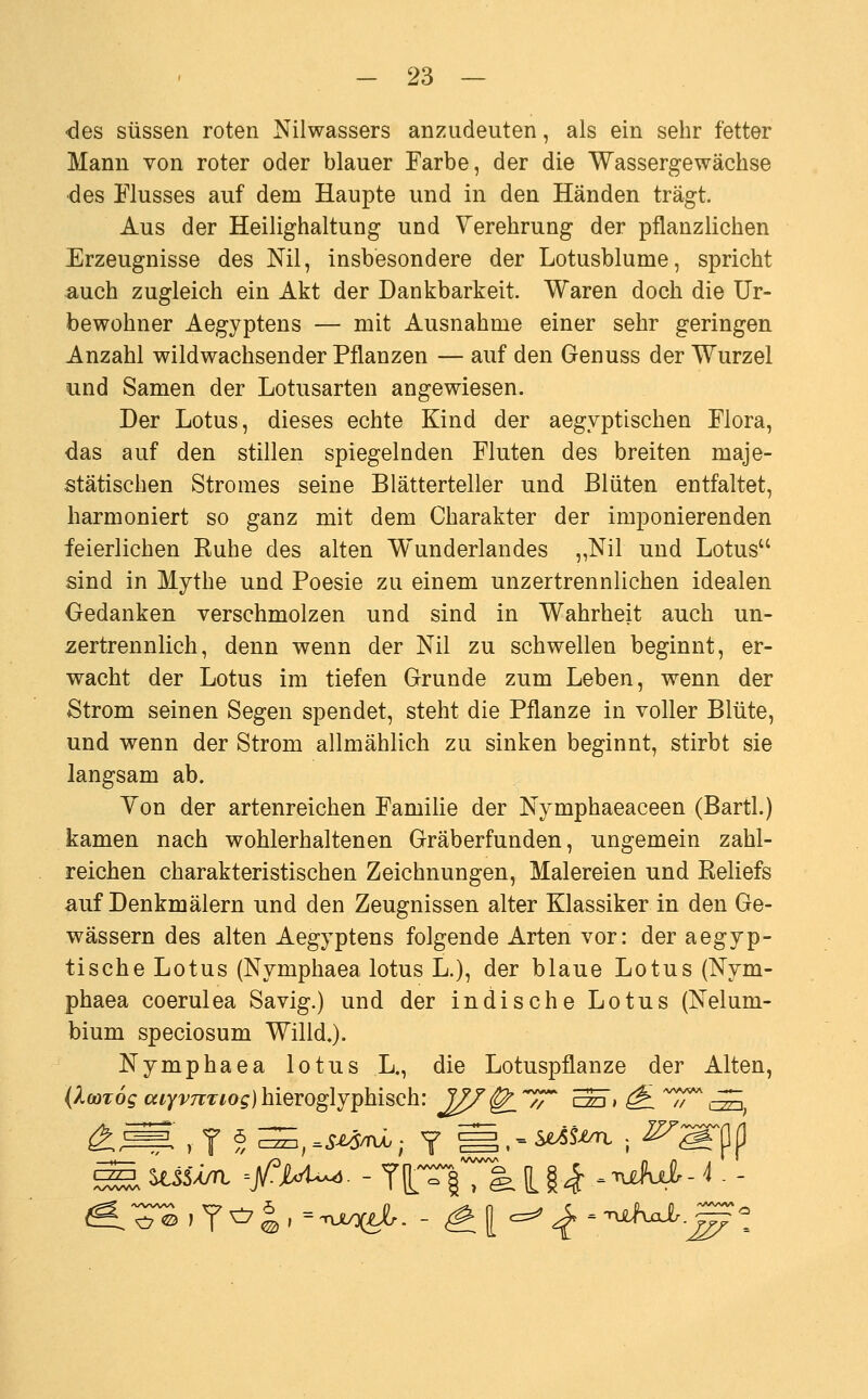 -des süssen roten Nilwassers anzudeuten, als ein sehr fetter Mann von roter oder blauer Farbe, der die Wassergewächse des Flusses auf dem Haupte und in den Händen trägt. Aus der Heilighaltung und Verehrung der pflanzlichen Erzeugnisse des Ml, insbesondere der Lotusblume, spricht auch zugleich ein Akt der Dankbarkeit. Waren doch die Ur- bewohner Aegyptens — mit Ausnahme einer sehr geringen Anzahl wildwachsender Pflanzen — auf den Genuss der Wurzel und Samen der Lotusarten angewiesen. Der Lotus, dieses echte Kind der aegyptischen Flora, das auf den stillen spiegelnden Fluten des breiten maje- stätischen Stromes seine Blätterteller und Blüten entfaltet, harmoniert so ganz mit dem Charakter der imponierenden feierlichen Ruhe des alten Wunderlandes „Nil und Lotus sind in Mythe und Poesie zu einem unzertrennlichen idealen Gedanken verschmolzen und sind in Wahrheit auch un- zertrennlich, denn wenn der Nil zu schwellen beginnt, er- wacht der Lotus im tiefen Grunde zum Leben, wenn der Strom seinen Segen spendet, steht die Pflanze in voller Blüte, und wenn der Strom allmählich zu sinken beginnt, stirbt sie langsam ab. Yon der artenreichen Familie der Nymphaeaceen (Bartl.) kamen nach wohlerhaltenen Gräberfunden, ungemein zahl- reichen charakteristischen Zeichnungen, Malereien und Reliefs auf Denkmälern und den Zeugnissen alter Klassiker in den Ge- wässern des alten Aegyptens folgende Arten vor: der aegyp- tische Lotus (Nymphaea lotus L.), der blaue Lotus (Nym- phaea coerulea Savig.) und der indische Lotus (Nelum- bium speciosum Willd.). Nymphaea lotus L., die Lotuspflanze der Alten, {XooTog a^yrTTTto^)hieroglyphisch: l^/^'^T Si ^ ^T^cS,