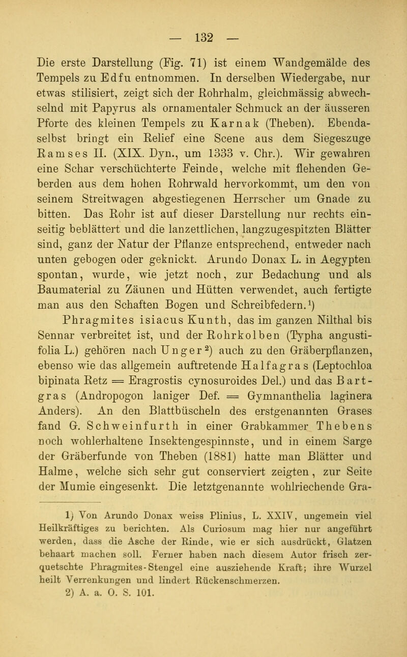 Die erste Darstellung (Fig. 71) ist einem Wandgemälde des Tempels zu Edfu entnommen. In derselben Wiedergabe, nur etwas stilisiert, zeigt sich der Rohrhalm, gleichmässig abwech- selnd mit Papyrus als ornamentaler Schmuck an der äusseren Pforte des kleinen Tempels zu Karnak (Theben). Ebenda- selbst bringt ein Relief eine Scene aus dem Siegeszuge Ramses IL (XIX. Dyn., um 1333 v. Chr.). Wir gewahren eine Schar verschüchterte Feinde, welche mit flehenden Ge- berden aus dem hohen Rohrwald hervorkommt, um den von seinem Streitwagen abgestiegenen Herrscher um Gnade zu bitten. Das Rohr ist auf dieser Darstellung nur rechts ein- seitig beblättert und die lanzettlichen, langzugespitzten Blätter sind, ganz der Natur der Pflanze entsprechend, entweder nach unten gebogen oder geknickt. Arundo Donax L. in Aegypten spontan, wurde, wie jetzt noch, zur Bedachung und als Baumaterial zu Zäunen und Hütten verwendet, auch fertigte man aus den Schäften Bogen und Schreibfedern, i) Phragmites isiacus Kunth, das im ganzen Nilthal bis Sennar verbreitet ist, und der Rohrkolben (Typha angusti- foha L.) gehören nachUnger^) auch zu den Gräberpflanzen, ebenso wie das allgemein auftretende Haifagras (Leptochloa bipinata Retz = Eragrostis cynosuroides Del.) und das Bart- gras (Andropogon laniger Def. = Gymnanthelia laginera Anders). An den Blattbüscheln des erstgenannten Grases fand G. Schweinfurth in einer Grabkammer Thebens noch wohlerhaltene Insektengespinnste, und in einem Sarge der Gräberfunde von Theben (1881) hatte man Blätter und Halme, welche sich sehr gut conserviert zeigten, zur Seite der Mumie eingesenkt. Die letztgenannte wohlriechende Gra- 1) Von Arundo Donax weiss Plinius, L. XXIV, ungemein viel Heilkräftiges zu berichten. Als Curiosum mag hier nur angeführt werden, dass die Asche der Rinde, wie er sich ausdrückt, Glatzen behaart machen soll. Ferner haben nach diesem Autor frisch zer- quetschte Phragmites-Stengel eine ausziehende Kraft; ihre Wurzel heilt Verrenkungen und lindert Rückenschmerzen. 2) A. a. 0. S. 101.