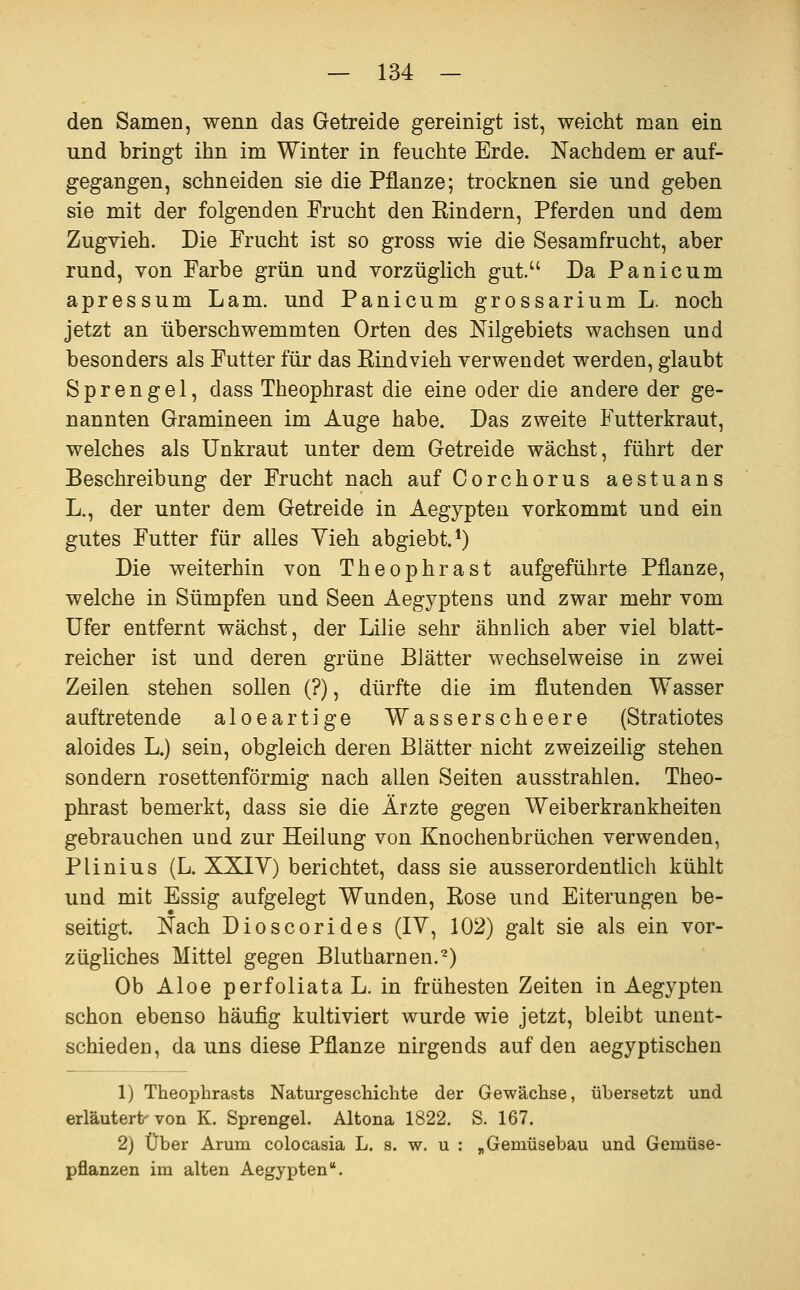 den Samen, wenn das Getreide gereinigt ist, weicht man ein und bringt ihn im Winter in feuchte Erde. Nachdem er auf- gegangen, schneiden sie die Pflanze; trocknen sie und geben sie mit der folgenden Frucht den Rindern, Pferden und dem Zugvieh. Die Prucht ist so gross wie die Sesamfrucht, aber rund, von Farbe grün und vorzüglich gut. Da Panicum apressum Lam. und Panicum grossarium L. noch jetzt an überschwemmten Orten des Nilgebiets wachsen und besonders als Futter für das Rindvieh verwendet werden, glaubt Sprengel, dass Theophrast die eine oder die andere der ge- nannten Gramineen im Auge habe. Das zweite Futterkraut, welches als Unkraut unter dem Getreide wächst, führt der Beschreibung der Frucht nach auf Corchorus aestuans L., der unter dem Getreide in Aegypten vorkommt und ein gutes Futter für alles Vieh abgiebt.*) Die weiterhin von Theophrast aufgeführte Pflanze, welche in Sümpfen und Seen Aegyptens und zwar mehr vom Ufer entfernt wächst, der Lilie sehr ähnlich aber viel blatt- reicher ist und deren grüne Blätter wechselweise in zwei Zeilen stehen sollen (?), dürfte die im flutenden Wasser auftretende aloeartige Wasserscheere (Stratiotes aloides L.) sein, obgleich deren Blätter nicht zweizeilig stehen sondern rosettenförmig nach allen Seiten ausstrahlen. Theo- phrast bemerkt, dass sie die Ärzte gegen Weiberkrankheiten gebrauchen und zur Heilung von Knochenbrüchen verwenden, Plinius (L. XXIY) berichtet, dass sie ausserordentlich kühlt und mit Essig aufgelegt Wunden, Rose und Eiterungen be- seitigt. Nach Dioscorides (lY, 102) galt sie als ein vor- zügliches Mittel gegen Blutharnen.-) Ob Aloe perfoliata L. in frühesten Zeiten in Aegypten schon ebenso häufig kultiviert wurde wie jetzt, bleibt unent- schieden, da uns diese Pflanze nirgends auf den aegyptischen 1) Tlieopbrasts Naturgeschichte der Gewächse, übersetzt und erläutert-von K. Sprengel. Altena 1822. S. 167. 2) Über Arum colocasia L. s. w. u : „Gemüsebau und Gemüse- pflanzen im alten Aegypten.