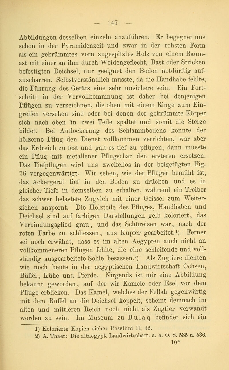 Abbildungen desselben einzeln anzuführen. Er begegnet uns schon in der Pyramidenzeit und zwar in der rohsten Form als ein gekrümmtes vorn zugespitztes Holz von einem Baum- ast mit einer an ihm durch Weidengeflecht, Bast oder Stricken befestigten Deichsel, nur geeignet den Boden notdürftig auf- zuscharren. Selbstverständlich musste, da die Handhabe fehlte, die Führung des Geräts eine sehr unsichere sein. Ein Fort- schritt in der Yervollkommnung ist daher bei denjenigen Pflügen zu verzeichnen, die oben mit einem Kinge zum Ein- greifen versehen sind oder bei denen der gekrümmte Körper sich nach oben in zwei Teile spaltet und somit die Sterze bildet. Bei Auflockerung des Schlammbodens konnte der hölzerne Pflug den Dienst vollkommen verrichten, war aber das Erdreich zu fest und galt es tief zu pflügen, dann musste ein Pflug mit metallener Pflugschar den ersteren ersetzen. Das Tiefpflügen wird uns zweifellos in der beigefügten Fig. 76 vergegenwärtigt. Wir sehen, wie der Pflüger bemüht ist, das Ackergerät tief in den Boden zu drücken und es in gleicher Tiefe in demselben zu erhalten, während ein Treiber das schwer belastete Zugvieh mit einer Geissei zum Weiter- ziehen anspornt. Die Holzteile des Pfluges, Handhaben und Deichsel sind auf farbigen Darstellungen gelb koloriert, das Verbindungsglied grau, und das Schüreisen war, nach der roten Farbe zu schliessen, aus Kupfer gearbeitet.*) Ferner sei noch erwähnt, dass es im alten Aegypten auch nicht an vollkommeneren Pflügen fehlte, die eine schleifende und voll- ständig ausgearbeitete Sohle besassen.^) Als Zugtiere dienten wie noch heute in der aegyptischen Landwirtschaft Ochsen, Büfi'el, Kühe und Pferde. Mrgends ist mir eine Abbildung bekannt geworden, auf der wir Kamele oder Esel vor dem Pfluge erblicken. Das Kamel, welches der Fellah gegenwärtig mit dem Büfi'el an die Deichsel koppelt, scheint demnach im alten und mittleren Reich noch nicht als Zugtier verwandt worden zu sein. Im Museum zu Buiaq befindet sich ein 1) Kolorierte Kopien siehe: Rosellini II, 32. 2) A. Thaer: Die altaegypt. Landwirtschaft, a. a. 0. S. 535 u. 536. 10*