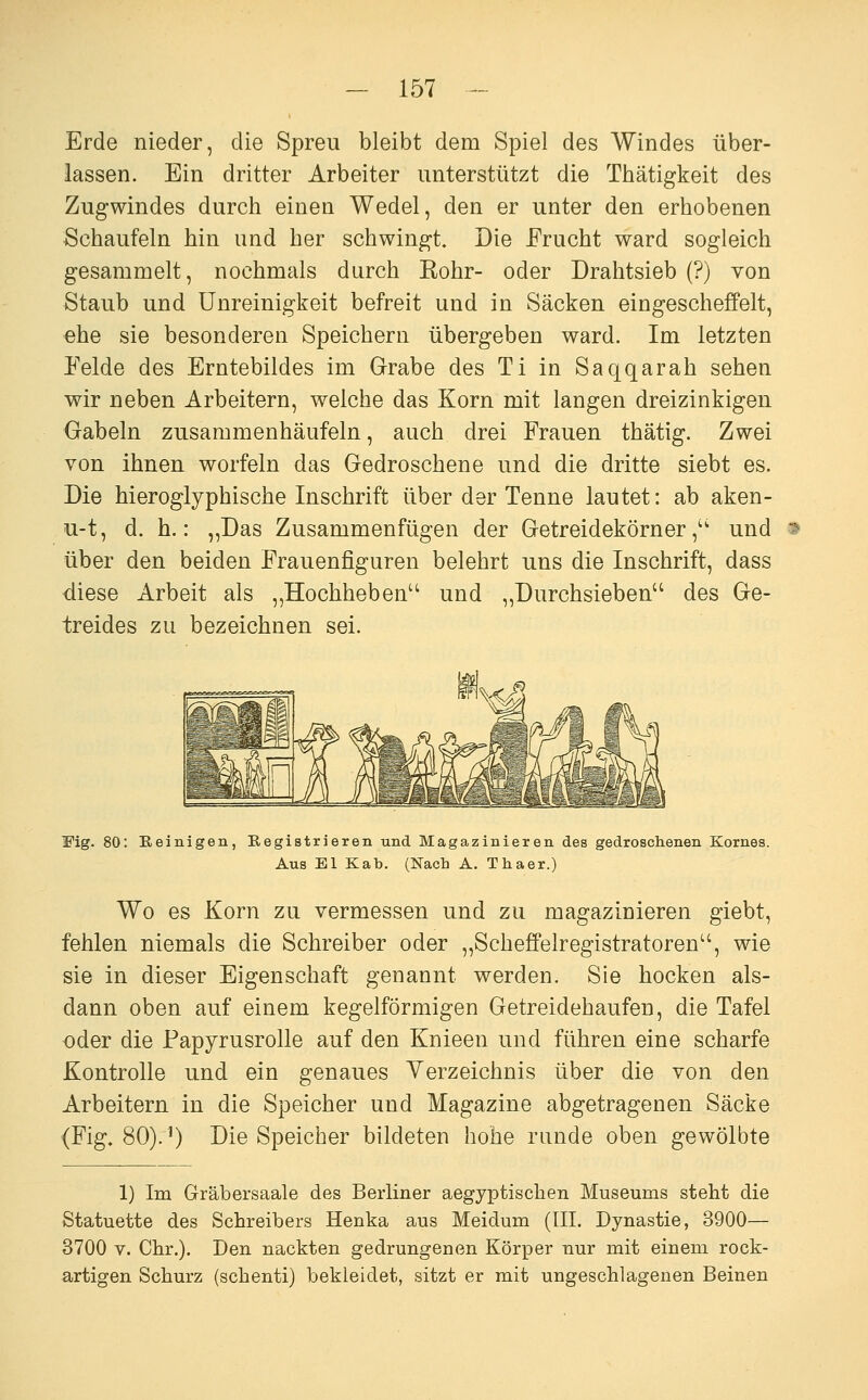 Erde nieder, die Spreu bleibt dem Spiel des Windes über- lassen. Ein dritter Arbeiter unterstützt die Thätigkeit des Zugwindes durch einen Wedel, den er unter den erhobenen Schaufeln hin und her schwingt. Die Frucht ward sogleich gesammelt, nochmals durch Rohr- oder Drahtsieb (?) von Staub und ünreinigkeit befreit und in Säcken eingescheffelt, ehe sie besonderen Speichern übergeben ward. Im letzten Felde des Erntebildes im Grabe des Ti in Saqqarah sehen wir neben Arbeitern, welche das Korn mit langen dreizinkigen Gabeln zusammenhäufeln, auch drei Frauen thätig. Zwei von ihnen worfeln das Gedroschene und die dritte siebt es. Die hieroglyphische Inschrift über der Tenne lautet: ab aken- u-t, d. h.: „Das Zusammenfügen der Getreidekörner,'' und über den beiden Frauenfiguren belehrt uns die Inschrift, dass diese Arbeit als „Hochheben und „Durchsieben des Ge- treides zu bezeichnen sei. Mg. 80: Beinigen, Eegistrieren und Magazinieren des gedroschenen Kornes. Aus El Kab. (Nach A. Thaer.) Wo es Korn zu vermessen und zu magazinieren giebt, fehlen niemals die Schreiber oder „Scheffelregistratoren, wie sie in dieser Eigenschaft genannt werden. Sie hocken als- dann oben auf einem kegelförmigen Getreidehaufen, die Tafel oder die Papyrusrolle auf den Knieen und führen eine scharfe Kontrolle und ein genaues Yerzeichnis über die von den Arbeitern in die Speicher und Magazine abgetragenen Säcke <Fig, 80).^) Die Speicher bildeten hohe runde oben gewölbte 1) Im Gräbersaale des Berliner aegyptischen Museums steht die Statuette des Schreibers Henka aus Meidum (III. Dynastie, 3900— 3700 v. Chr.). Den nackten gedrungenen Körper nur mit einem rock- artigen Schurz (schenti) bekleidet, sitzt er mit ungeschlagenen Beinen