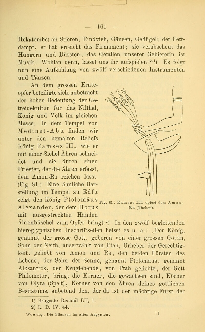 Hekatombe) an Stieren, Rindvieh, Gänsen, Geflügel; der Fett- dampf, er hat erreicht das Firmament; sie verabscheut das Hungern und Dürsten, das Gefallen unserer Gebieterin ist Musik. Wohlan denn, lasset uns ihr aufspielen!^) Es folgt nun eine Aufzählung von zwölf verschiedenen Instrumenten und Tänzen. An dem grossen Ernte- opfer beteiligte sich, anbetracht der hohen Bedeutung der Ge- treidekultur für das Mlthal, König und Yolk im gleichen Masse. In dem Tempel von Medinet-Abu finden wir unter den bemalten Reliefs König Ramses III., wie er mit einer Sichel Ähren schnei- det und sie durch einen Priester, der die Ähren erfasst, dem Amon-Ra reichen lässt. (Fig. 81.) Eine ähnliche Dar- stellung im Tempel zu Edfu zeisrt den Könie^ Ptoi0maus ^. „,. „ „^ ^ _, ^ ö ö Pig. 81: Eamses III. opfert dem Amon- Alexander, der dem Horus na (Theben), mit ausgestreckten Händen Ährenbüschel zum Opfer bringt.-) In den zwölf begleitenden hieroglyphischen Inschriftzeilen heisst es u. a.: ,,Der König, genannt der grosse Gott, geboren von einer grossen Göttin, Sohn der Neith, auserwählt von Ptah, Urheber der Gerechtig- keit, geliebt von Amon und Ra, den beiden Fürsten des Lebens, der Sohn der Sonne, genannt Ptolomäus, genannt Alksantros, der Ewiglebende, von Ptah geliebte, der Gott Philometor, bringt die Körner, die gewachsen sind, Körner von Olyra (Spelt), Körner von den Ähren deines göttlichen Besitztums, anbetend den, der da ist der mächtige Fürst der 1) Brugsch: Recueil LH, 1. 2) L. D. IV, 44. Woenig, Die PHanzeu im alten Aegyplen. 11