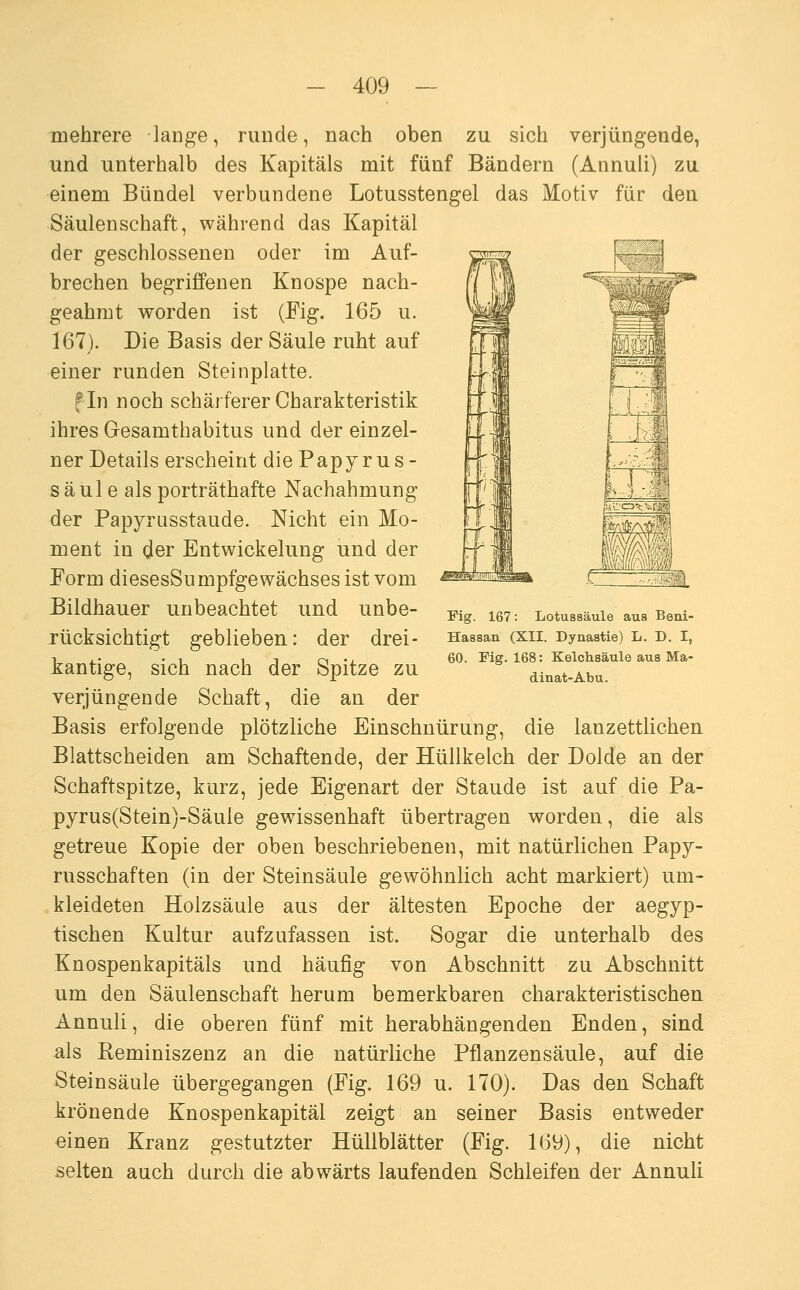 mehrere lange, runde, nach oben zu sich verjüngende, und unterhalb des Kapitals mit fünf Bändern (Annuli) zu einem Bündel verbundene Lotusstengel das Motiv für den Säulenschaft, während das Kapital der geschlossenen oder im Auf- brechen begriffenen Knospe nach- geahmt vrorden ist (Fig. 165 u. 167). Die Basis der Säule ruht auf einer runden Steinplatte. fln noch schärferer Charakteristik ihres Gesamthabitus und der einzel- ner Details erscheint die Papyrus- s äul e als porträthafte Nachahmung der Papyrüsstaude. Nicht ein Mo- ment in der Entwickelung und der Form diesesSumpfgeWachses ist vom Bildhauer unbeachtet und unbe- rücksichtigt geblieben: der drei- kantige, sich nach der Spitze zu verjüngende Schaft, die an der Basis erfolgende plötzliche Einschnürung, die lauzettlichen Blattscheiden am Schaftende, der Hüllkelch der Dolde an der Schaftspitze, kurz, jede Eigenart der Staude ist auf die Pa- pyrus(Stein)-Säule gewissenhaft übertragen worden, die als getreue Kopie der oben beschriebenen, mit natürlichen Papy- russchaften (in der Steinsäule gewöhnlich acht markiert) um- kleideten Holzsäule aus der ältesten Epoche der aegyp- tischen Kultur aufzufassen ist. Sogar die unterhalb des Knospenkapitäls und häufig von Abschnitt zu Abschnitt um den Säulenschaft herum bemerkbaren charakteristischen Annuli, die oberen fünf mit herabhängenden Enden, sind als Reminiszenz an die natürliche Pflanzensäule, auf die Stein Säule übergegangen (Fig. 169 u. 170). Das den Schaft krönende Knospenkapitäl zeigt an seiner Basis entweder einen Kranz gestutzter Hüllblätter (Fig. 169), die nicht selten auch durch die abwärts laufenden Schleifen der Annuli Fig. 167: Lotussäule aus Beni- Hassan (XII. Dynastie) L. D. I, 60. Fig. 168: Kelchsäule aus Ma- dinat-Abu.