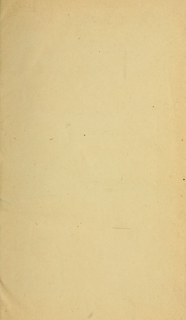 digitised image 3