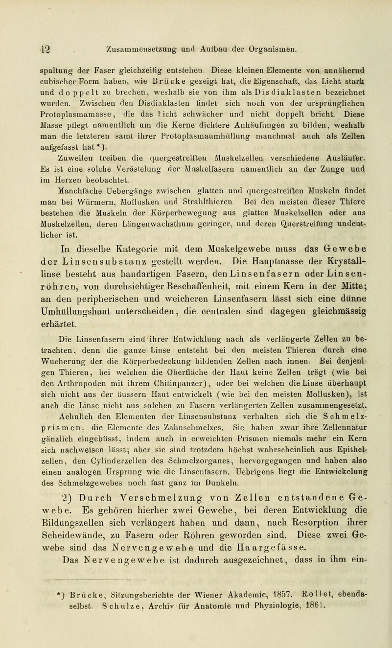 Spaltung der Faser gleichzeitig entstehen. Diese kleinen Elemente von annähernd cubischer Form haben, wie Brücke gezeigt hat, die Eigenschaft, das Licht stari^ und doppelt zn brechen, weshalb sie von ihm als Dis diaklasten bezeichnet wurden. Zwischen den Disdiaklasten findet sich noch von der ursprünglichen Protoplasraamasse, die das l.icht schwächer und nicht doppelt bricht. Diese Masse pflegt namentlich um die Kerne dichtere Anhäufungen zu bilden, weshalb man die letzteren samt ihrer Protoplasmaumhüllung manchmal auch als Zellen aufgefasst hat*). Zuweilen treiben die quergestreiften Muskelzellen verschiedene Ausläufer- Es ist eine solche Verästelung der Muskelfasern namentlich an der Zunge und im Herzen beobachtet. Manchfache üebergänge zwischen glatten und quergestreiften Muskeln findet man bei Würmern, Mollusken und Strahlthieren Bei den meisten dieser Thiere bestehen die Muskeln der Körperbewegung aus glatten Muskelzellen oder aus Muskelzellen, deren Längenwachsthum geringer, und deren Querstreifung undeut- licher ist. In dieselbe Kategorie mit dem Muskelgewebe muss das Gewebe der Linsensubstanz gestellt werden. Die Hauptmasse der Krystall- linse besteht aus bandartigen Fasern, denLinsenfasern oder Linsen- roh ren.^ von durchsichtiger Beschaffenheit, mit einem Kern in der Mitte; an den peripherischen und weicheren Linsenfasern lässt sich eine dünne ümhüUungshaut unterscheiden, die centralen sind dagegen gleichmässig erhärtet. Die Linsenfasern sind ihrer Entwicklung nach als verlängerte Zellen zu be- trachten, denn die ganze Linse entsteht bei den meisten Thieren durch eine Wucherung der die Körperbedeckung bildenden Zellen nach innen. Bei denjeni- gen Thieren, bei welchen die Oberfläche der Haut keine Zellen ti'ägt (wie bei den Arthropoden mit ihrem Chitinpanzer), oder bei welchen die Linse überhaupt sich nicht aus der äussern Haut entwickelt (wie bei den meisten Mollusken), ist auch die Linse nicht aus solchen zu Fasern verlängerten Zellen zusammengesetzt. Aehnlich den Elementen der Linsensubstanz verhalten sich die Schmelz- prismen, die Elemente des Zahnschmelzes, Sie haben zwar ihre Zellennatur gänzlich eingebüsst, indem auch in erweichten Prismen niemals mehr ein Kern sich nachweisen lässt; aber sie sind trotzdem höchst wahrscheinlich aus Epithel- zellen, den Cj^linderzellen des Schmelzorganes, hervorgegangen und haben also einen analogen Ursprung wie die Linsenfasern. Uebrigens liegt die Entwickelung des Schmelzgewebes noch fast ganz im Dunkeln. 2) Durch Verschmelzung von Zellen entstandene Ge- webe. Es gehören hierher zwei Gewebe, bei deren Entwicklung die Bildungszellen sich verlängert haben und dann, nach Resorption ihrer Scheidewände, zu Fasern oder Röhren geworden sind. Diese zwei Ge- webe sind das Nervengewebe und die Ilaargefässe. Das Nervengewebe ist dadurch ausgezeichnet, dass in ihm ein- *) Brücke, Sitzungsberichte der Wiener Akademie, 1857. Rollet, ebenda- selbst. Schulze, Archiv für Anatomie und Physiologie, 1861.