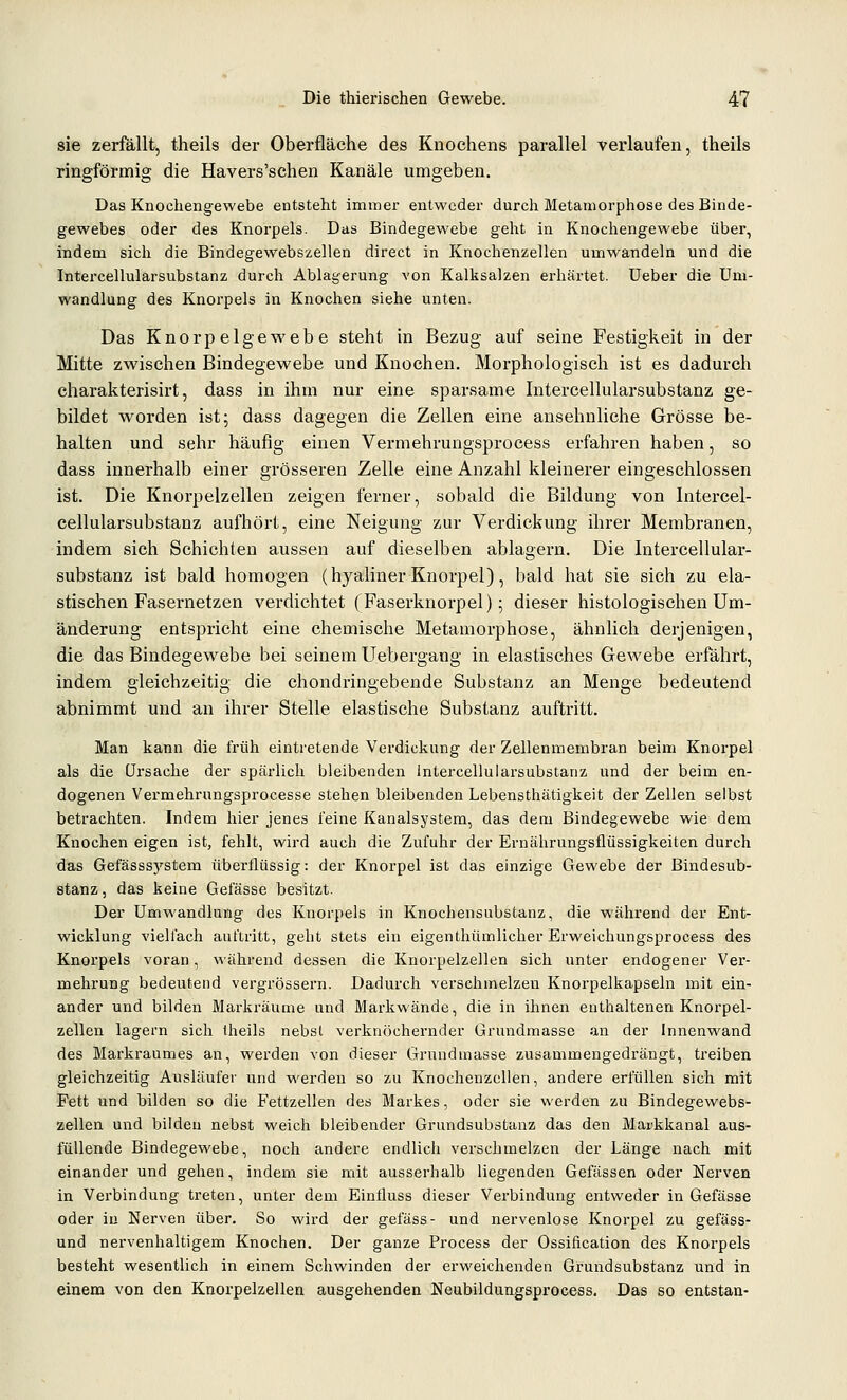 sie zerfällt, theils der Oberfläche des Knochens parallel verlaufen, theils ringförmig die Havers'schen Kanäle umgeben. Das Knochengewebe entsteht immer entweder durch Metamorphose des Binde- gewebes oder des Knorpels. Das Bindegewebe geht in Knochengewebe über, indem sicli die Bindegewebszellen direct in Knochenzellen umwandeln und die Intercellularsubstanz durch Ablag-erung von Kalksalzen erhärtet. Ueber die Um- wandlung des Knorpels in Knochen siehe unten. Das Knorpelgewebe steht in Bezug auf seine Festigkeit in der Mitte zwischen Bindegewebe und Knochen. Morphologisch ist es dadurch charakterisirt, dass in ihm nur eine sparsame Intercellularsubstanz ge- bildet worden ist; dass dagegen die Zellen eine ansehnliche Grösse be- halten und sehr häufig einen Vermehrungsprocess erfahren haben, so dass innerhalb einer grösseren Zelle eine Anzahl kleinerer eingeschlossen ist. Die Knorpelzellen zeigen ferner, sobald die Bildung von Intercel- cellularsubstanz aufhört, eine Neigung zur Verdickung ihrer Membranen, indem sich Schichten aussen auf dieselben ablagern. Die Intercellular- substanz ist bald homogen (hyaliner Knorpel), bald hat sie sich zu ela- stischen Fasernetzen verdichtet (Faserknorpel); dieser histologischen Um- änderung entspricht eine chemische Metamorphose, ähnlich derjenigen, die das Bindegewebe bei seinem Uebergang in elastisches Gewebe erfährt, indem gleichzeitig die chondringebende Substanz an Menge bedeutend abnimmt und an ihrer Stelle elastische Substanz auftritt. Man kann die früh eintretende Verdickung der Zellenmembran beim Knorpel als die Ursache der spärlich bleibenden intercellularsubstanz und der beim en- dogenen Vermehrungsprocesse stehen bleibenden Lebensthätigkeit der Zellen selbst betrachten. Indem hier jenes feine Kanalsystem, das dem Bindegewebe wie dem Knochen eigen ist, fehlt, wird auch die Zufuhr der Ernährungsflüssigkeiten durch das Gefässsystem überflüssig: der Knorpel ist das einzige Gewebe der Bindesub- stanz , das keine Gefässe besitzt. Der Umwandlung des Knorpels in Knochensubstanz, die während der Ent- wicklung vielfach auftritt, geht stets ein eigenthümlieher Erweichungsprocess des Knoi'pels voran, während dessen die Knorpelzellen sich unter endogener Ver- mehrung bedeutend vergrössern. Dadurch verschmelzen Knoi'pelkapseln mit ein- ander und bilden Markräume und Markwände, die in ihnen enthaltenen Knorpel- zellen lagern sich Iheils nebsl verknöchernder Grundmasse an der Innenwand des Markraumes an, werden von dieser Grundmasse zusammengedrängt, treiben gleichzeitig Ausläufer und werden so zu Knochenzellen, andere erfüllen sich mit Fett und bilden so die Fettzellen des Markes, oder sie werden zu Bindegewebs- zellen und bilden nebst weich bleibender Grundsubstanz das den Markkanal aus- füllende Bindegewebe, noch andere endlich verschmelzen der Länge nach mit einander und gehen, indem sie mit ausserhalb liegenden Gefässen oder Nerven in Verbindung treten, unter dem Einfluss dieser Verbindung entweder in Gefässe oder iu Nerven über. So wird der gefäss- und nervenlose Knorpel zu gefäss- und nervenhaltigem Knochen. Der ganze Process der Ossification des Knorpels besteht wesentlich in einem Schwinden der erweichenden Grundsubstanz und in einem von den Knorpelzellen ausgehenden Neubildungsprocess. Das so entstan-