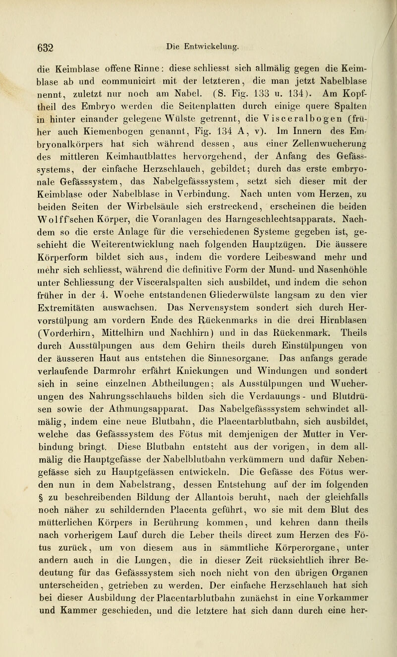 die Keimblase offene Rinne; diese schliesst sich allmälig gegen die Keim- blase ab und communicirt mit der letzteren, die man jetzt Nabelblase nennt, zuletzt nur noch am Nabel, (S, Fig. 133 u. 134). Am Kopf- theil des Embryo werden die Seitenplatten durch einige quere Spalten in hinter einander gelegene Wülste getrennt, die Visceralbogen (frü- her auch Kiemenbogen genannt, Fig. 134 A, v). Im Innern des Em- bryonalkörpers hat sich während dessen, aus einer Zellenwucherung des mittleren Keimhautblattes hervorgehend, der Anfang des Gefäss- systems, der einfache Herzschlauch, gebildet; durch das erste embryo- nale Gefässsystem, das Nabelgefässsystem, setzt sich dieser mit der Keimblase oder Nabelblase in Verbindung. Nach unten vom Herzen, zu beiden Seiten der Wirbelsäule sich erstreckend, erscheinen die beiden Wol ff'sehen Körper, die Voranlagen des Harngeschlechtsapparats. Nach- dem so die erste Anlage für die verschiedenen Systeme gegeben ist, ge- schieht die Weiterentwicklung nach folgenden Hauptzügen. Die äussere Körperform bildet sich aus, indem die vordere Leibeswand mehr und mehr sich schliesst, während die definitive Form der Mund- und Nasenhöhle unter Schliessung der Visceralspalten sich ausbildet, und indem die schon früher in der 4. Woche entstandenen Gliederwülste langsam zu den vier Extremitäten auswachsen. Das Nervensystem sondert sich durch Her- vorstülpung am vordem Ende des Rückenmarks in die drei Hirnblasen (Vorderhirn, Mittelhirn und Nachhirn) und in das Rückenmark. Theils durch Ausstülpungen aus dem Gehirn theils durch Einstülpungen von der äusseren Haut aus entstehen die Sinnesorgane-. Das anfangs gerade verlaufende Darmrohr erfährt Knickungen und Windungen und sondert sich in seine einzelnen Abtheilungen; als Ausstülpungen und Wucher- ungen des Nahrungsschlauchs bilden sich die Verdauungs - und Blutdrü- sen sowie der Athmungsapparat. Das Nabelgefässsystem schwindet all- mälig, indem eine neue Blutbahn, die Placentarblutbahn, sich ausbildet, welche das Gefässsystem des Fötus mit demjenigen der Mutter in Ver- bindung bringt. Diese Blutbahn entsteht aus der vorigen, in dem all- mälig die Hauptgefässe der Nabelblutbahn verkümmern und dafür Neben- gefässe sich zu Hauptgefässen entwickeln. Die Gefässe des Fötus wer- den nun in dem Nabelstrang, dessen Entstehung auf der im folgenden § zu beschreibenden Bildung der Allantois beruht, nach der gleichfalls noch näher zu schildernden Placenta geführt, wo sie mit dem Blut des mütterlichen Körpers in Berührung kommen, und kehren dann theils nach vorherigem Lauf durch die Leber theils direct zum Herzen des Fö- tus zurück, um von diesem aus in sämmtliche Körperorgane, unter andern auch in die Lungen, die in dieser Zeit rücksichtlich ihrer Be- deutung für das Gefässsystem sich noch nicht von den übrigen Organen unterscheiden, getrieben zu werden. Der einfache Herzschlauch hat sich bei dieser Ausbildung der Placentarblutbahn zunächst in eine Vorkammer und Kammer geschieden, und die letztere hat sich dann durch eine her-