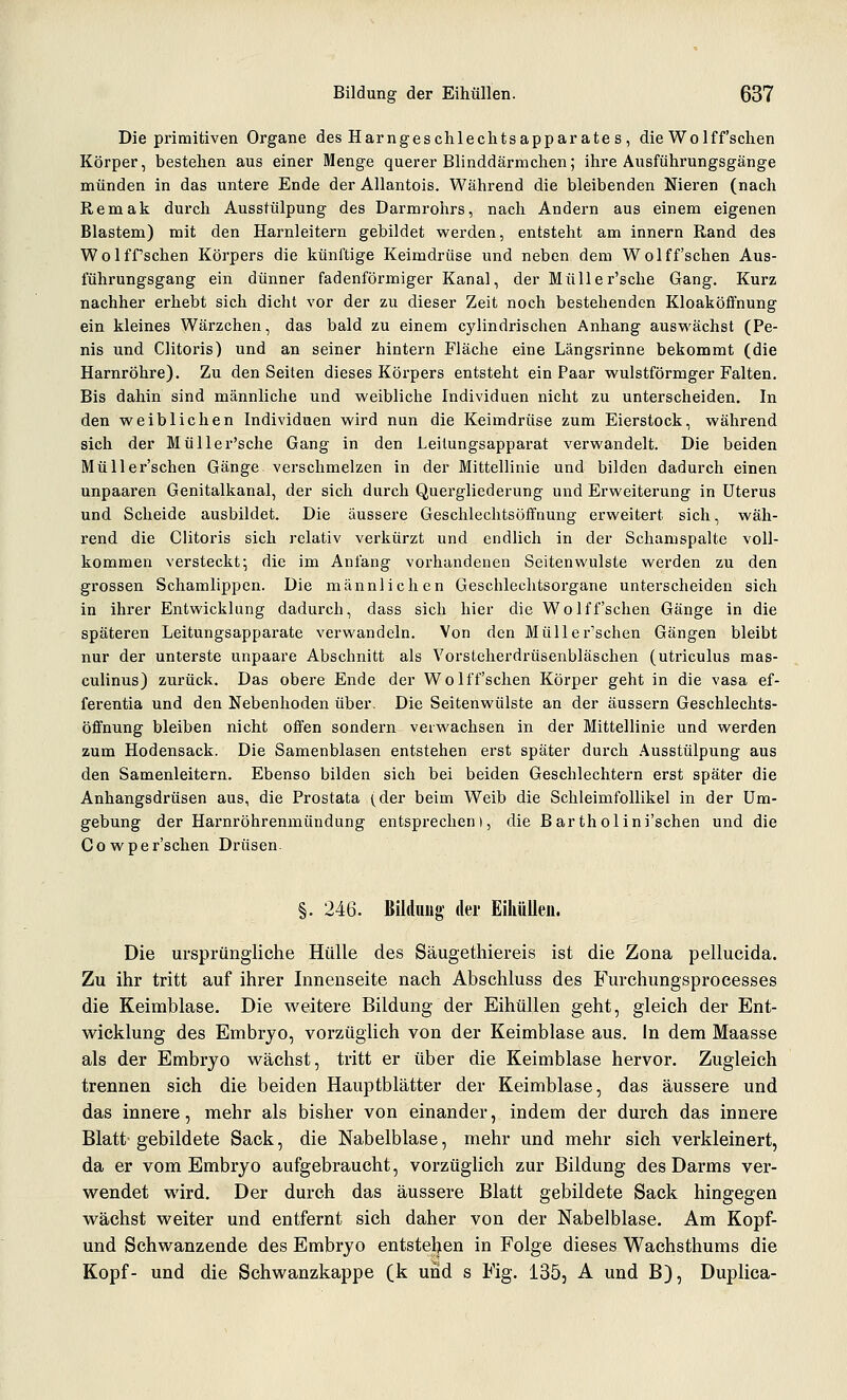 Die primitiven Organe des Harngeschlechtsapparate s , die Wolff'schen Körper, bestehen aus einer Menge querer Blinddärmchen; ihre Ausführungsgänge münden in das untere Ende der AUantois. Während die bleibenden Nieren (nach Remak durch Ausstülpung des Darmrohrs, nach Andern aus einem eigenen Blastem) mit den Harnleitern gebildet werden, entsteht am Innern Rand des WolfPschen Körpers die künftige Keimdrüse und neben dem Wolff'schen Aus- führungsgang ein dünner fadenförmiger Kanal, der Müller'sche Gang. Kurz nachher erhebt sich dicht vor der zu dieser Zeit noch bestehenden Kloaköffnung ein kleines Wärzchen, das bald zu einem cylindrischen Anhang auswächst (Pe- nis und Clitoris) und an seiner hintern Fläche eine Längsrinne bekommt (die Harnröhre). Zu den Seiten dieses Körpers entsteht ein Paar wulstförmger Falten. Bis dahin sind männliche und weibliche Individuen nicht zu unterscheiden. In den weiblichen Individuen wird nun die Keimdrüse zum Eierstock, während sich der Müller'sche Gang in den Leilungsapparat verwandelt. Die beiden Müller'schen Gänge verschmelzen in der Mittellinie und bilden dadurch einen unpaaren Genitalkanal, der sich durch Quergliederung und Erweiterung in Uterus und Scheide ausbildet. Die äussere Geschlechtsöffnung erweitert sich, wäh- rend die Clitoris sich relativ verkürzt und endlich in der Schamspalte voll- kommen versteckt; die im Anfang vorhandenen Seitenwulste werden zu den grossen Schamlippen. Die männlichen Geschlechtsorgane unterscheiden sich in ihrer Entwicklung dadurch, dass sich hier die Wolff'schen Gänge in die späteren Leitungsapparate verwandeln. Von den Müller'schen Gängen bleibt nur der unterste unpaare Abschnitt als Vorsteherdrüsenbläschen (utriculus mas- culinus) zurück. Das obere Ende der Wolff'schen Körper geht in die vasa ef- ferentia und den Nebenhoden über. Die Seitenwülste an der äussern Geschlechts- öffnung bleiben nicht offen sondern verwachsen in der Mittellinie und werden zum Hodensack. Die Samenblasen entstehen erst später durch .'\usstulpung aus den Samenleitern. Ebenso bilden sich bei beiden Geschlechtern erst später die Änhangsdrüsen aus, die Prostata (der beim Weib die SchleimfoUikel in der Um- gebung der Harnröhrenmündung entsprechen), die Bartholini'schen und die Cowper'schen Drüsen. §. 246. Bildnug der Eihüllen. Die ursprüngliche Hülle des Säugethiereis ist die Zona pellueida. Zu ihr tritt auf ihrer Innenseite nach Absehluss des I^urchungsprocesses die Keimblase. Die weitere Bildung der Eihüllen geht, gleich der Ent- wicklung des Embryo, vorzüglich von der Keimblase aus. In dem Maasse als der Embryo wächst, tritt er über die Keimblase hervor. Zugleich trennen sich die beiden Hauptblätter der Keimblase, das äussere und das innere, mehr als bisher von einander, indem der durch das innere Blatt'gebildete Sack, die Nabelblase, mehr und mehr sich verkleinert, da er vom Embryo aufgebraucht, vorzüglich zur Bildung des Darms ver- wendet wird. Der durch das äussere Blatt gebildete Sack hingegen wächst weiter und entfernt sich daher von der Nabelblase. Am Kopf- und Schwanzende des Embryo entstehen in Folge dieses Wachsthums die Kopf- und die Schwanzkappe (k und s Fig. 135, A und B), Duplica-