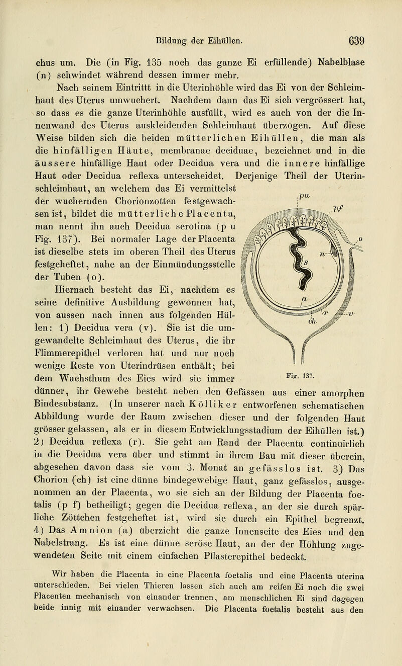 chus um. Die (in Fig. 135 noch das ganze Ei erfüllende) Nabelblase (n) schwindet während dessen immer mehr. Nach seinem Eintrittt in die Uterinhöhle wird das Ei von der Schleim- haut des Uterus umwuchert. Nachdem dann das Ei sich vergrössert hat, so dass es die ganze Uterinhöhle ausfüllt, wird es auch von der die In- nenwand des Uterus auskleidenden Schleimhaut überzogen. Auf diese Weise bilden sich die beiden mütterlichen Eihüllen, die man als die hinfälligen Häute, membranae deciduae, bezeichnet und in die äussere hinfällige Haut oder Decidua vera und die innere hinfällige Haut oder Decidua reflexa unterscheidet. Derjenige Theil der Uterin- schleimhaut, an welchem das Ei vermittelst der wuchernden Chorionzotten festgewach- sen ist, bildet die mütterliche PIacenta, man nennt ihn auch Decidua serotina (p u Fig. 137). Bei normaler Lage derPlacenta ist dieselbe stets im oberen Theil des Uterus festgeheftet, nahe an der Einmündungsstelle der Tuben (o). Hiernach besteht das Ei, nachdem es seine definitive Ausbildung gewonnen hat, von aussen nach innen aus folgenden Hül- len: 1) Decidua vera (v). Sie ist die um- gewandelte Schleimhaut des Uterus, die ihr Flimmer epithel verloren hat und nur noch wenige Reste von Uterindrüsen enthält; bei dem Wachsthum des Eies wird sie immer dünner, ihr Gewebe besteht neben den Grefässen aus einer amorphen Bindesubstanz. (In unserer nach Köllik er entworfenen schematischen Abbildung wurde der Raum zwischen dieser und der folgenden Haut grösser gelassen, als er in diesem Entwicklungsstadium der Eihüllen ist.) 2) Decidua reflexa (r). Sie geht am Rand der Placenta continuirlich in die Decidua vera über und stimmt in ihrem Bau mit dieser überein, abgesehen davon dass sie vom 3. Monat an gefässlos ist. 3) Das Chorion (ch) ist eine dünne bindegewebige Haut, ganz gefässlos, ausge- nommen an der Placenta, wo sie sich an der Bildung der Placenta foe- tahs (p f) betheiligt; gegen die Decidua reflexa, an der sie durch spär- liche Zöttchen festgeheftet ist, wird sie durch ein Epithel begrenzt. 4) Das Amnion (a) überzieht die ganze Innenseite des Eies und den Nabelstrang. Es ist eine dünne seröse Haut, an der der Höhlung zuge- wendeten Seite mit einem einfachen Pflasterepithel bedeckt. Wir haben die Placenta in eine Placenta foetalis und eine Placenta uterina unterschieden. Bei vielen Thieren lassen sich auch am reifen Ei noch die zwei Placenten mechanisch von einander trennen, am menschlichen Ei sind dagegen beide innig mit einander vervt'achsen. Die Placenta foetalis besteht aus den Fig. 137.