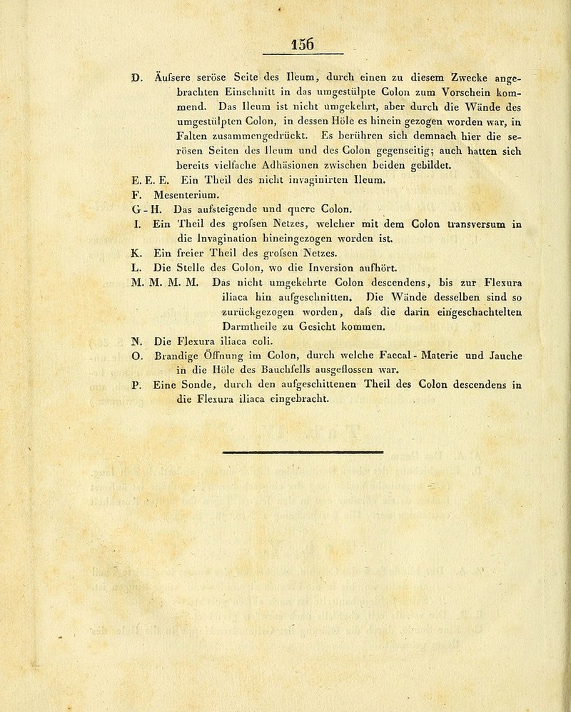 D. Aufsere seröse Seite des Ileum, durch einen zu diesem Zwecke ange- brachten Einschnitt in das umgestülpte Colon zum Vorschein kom- mend. Das Ileura ist nicht Umgekehrt, aber durch die Wände des umgestülpten Colon, in dessen Hole es hinein gezogen worden war, in Falten zusammengedrückt. Es berühren sich demnach hier die se- rösen Seiten des Ueum und des Colon gegenseitig; auch hatten sich bereits vielfache Adhäsionen zwischen beiden gebildet. E. E. E. Ein Theil des nicht invagiairten Ueum. F. Mesenterium. G - H. Das aufsteigende und quere Colon. I. Ein Theil des grofsen Netzes, welcher mit dem Colon transversum in die Invagination hineingezogen worden ist. K. Ein freier Theil des grofsen Netzes. L. Die Stelle des Colon, wo die Inversion aufhört. M. M. M. M. Das nicht umgekehrte Colon descendens, bis zur Flesura iliaca hin aufgeschnitten. Die Wände desselben sind so zurückgezogen worden, dafs die darin eingeschachtelten Darmtheile zu Gesicht kommen. N. Die FJesura iliaca coli. O. Brandige Öffnung im Colon, durch welche Faecal - Materie und Jauche in die Hole des Bauchfells ausgeflossen war. P. Eine Sonde, durch den aufgeschittenen Theil des Colon descendens in die Flexura iliaca eingebracht.