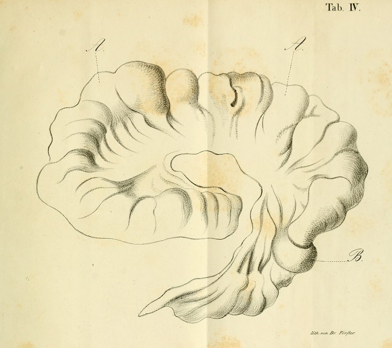 Tal). l\. A4?, nr/r, ßr: Fer/ief: