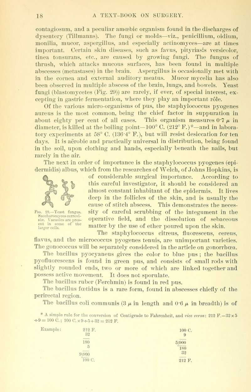contagiosum, and a peculiar amoebic organism found in the discharges of dysentery (Tillmanns). The fungi or molds—viz., penicillium, oidium, monilia, mucor, aspergillus, and especially actinomyces—are at times important. Certain skin diseases, such as favus, pityriasis versicolor, tinea tonsurans, etc., are caused by growing fungi. The fungus of thrush, which attacks mucous surfaces, has been found in multiple abscesses (metastases) in the brain. Aspergillus is occasionally met with in the cornea and external auditory meatus. Mucor mycelia has also been observed in multiple abscess of the brain, lungs, and bowels. Yeast fungi (blastomycetes (Fig. 29)) are rarely, if ever, of special interest, ex- cepting in gastric fermentation, where they play an important role. Of the various micro-organisms of pus, the staphylococcus pyogenes aureus is the most common, being the chief factor in suppuration in about eighty per cent of all cases. This organism measures 0*7 //. in diameter, is killed at the boiling point—100° C. (212° F.)*—and in labora- tory experiments at 58° C. (136*4° F.), but will resist desiccation for ten days. It is aerobic and practically universal in distribution, being found in the soil, upon clothing and hands, especially beneath the nails, but rarely in the air. The next in order of importance is the staphylococcus pyogenes (epi- dermidis) albus, which from the researches of Welch, of Johns Hopkins, is of considerable surgical importance. According to this careful investigator, it should be considered an almost constant inhabitant of the epidermis. It lives deep in the follicles of the skin, and is usually the cause of stitch abscess. This demonstrates the neces- Fig. 29.—Yeast fungus, sity of careful scrubbing of the integument in the Saccharomycescerrevi- ,. r?-ii -i,i -i ■ -■,• » i site, vacuoles are pres- operative held, and the dissolution of sebaceous k^ceiis!*6 °f the matter by the use of ether poured upon the skin. The staphylococcus citreus, fluorescens, cereus, flavus, and the micrococcus pyogenes tenuis, are unimportant varieties. The gonococcus will be separately considered in the article on gonorrhoea. The bacillus pyocyaneus gives the color to blue pus ; the bacillus pyofluorescens is found in green pus, and consists of small rods with slightly rounded ends, two or more of which are linked together and possess active movement. It does not sporulate. The bacillus ruber (Ferchmin) is found in red pus. The bacillus foetidus is a rare form, found in abscesses chiefly of the perirectal region. The bacillus coli communis (3 ^ in length and 0*6 /j, in breadth) is of * A simple rule for the conversion of Centigrade to Fahrenheit, and vice versa: 212 F.—32 x5 -=-9 = 100 0.; 100 C. x 0--5 + 32 = 212 F. Example: 212 F. 100 C 32 9 180 5)900 180 9)900 32 100 C. 212 F.