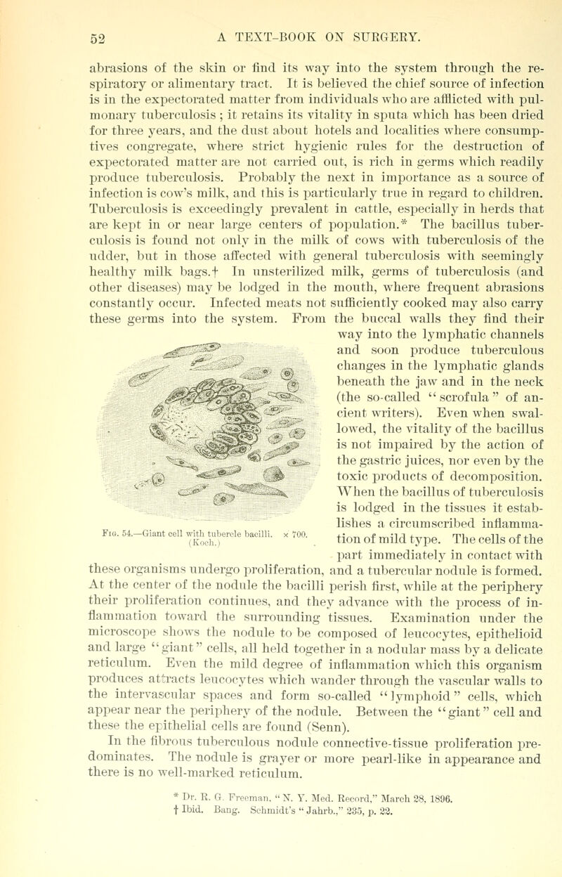 abrasions of the skin or find its way into the system through the re- spiratory or alimentary tract. It is believed the chief source of infection is in the expectorated matter from individuals who are afflicted with pul- monary tuberculosis ; it retains its vitality in sputa which has been dried for three years, and the dust about hotels and localities where consump- tives congregate, where strict hygienic rules for the destruction of expectorated matter are not carried out, is rich in germs which readily produce tuberculosis. Probably the next in importance as a source of infection is cow's milk, and this is particularly true in regard to children. Tuberculosis is exceedingly prevalent in cattle, especially in herds that are kept in or near large centers of population.* The bacillus tuber- culosis is found not only in the milk of cows with tuberculosis of the udder, but in those affected with general tuberculosis with seemingly healthy milk bags.f In unsterilized milk, germs of tuberculosis (and other diseases) may be lodged in the mouth, where frequent abrasions constantly occur. Infected meats not sufficiently cooked may also carry these germs into the system. From the buccal walls they find their way into the lymphatic channels gg^~::^> and soon produce tuberculous i£rl. --J*^' ^ ^ changes in the lymphatic glands js* beneath the jaw and in the neck (the so-called scrofula of an- cient writers). Even when swal- lowed, the vitality of the bacillus is not impaired by the action of • fti^ the gastric juices, nor even by the ^|P ; j^ toxic products of decomposition. w-^ ' When the bacillus of tuberculosis is lodged in the tissues it estab- lishes a circumscribed inflamma- FiG.54.-Giant cell ^tubercle bacilli, x 700. tion of mild type. The cells of the part immediately in contact with these organisms undergo proliferation, and a tubercular nodule is formed. At the center of the nodule the bacilli perish first, while at the periphery their proliferation continues, and they advance with the process of in- flammation toward the surrounding tissues. Examination under the microscope shows the nodule to be composed of leucocytes, epithelioid and large giant cells, all held together in a nodular mass by a delicate reticulum. Even the mild degree of inflammation which this organism produces attracts leucocytes which wander through the vascular walls to the intervascular spaces and form so-called lymphoid cells, which appear near the periphery of the nodule. Between the  giant cell and these the epithelial cells are found (Senn). In the fibrous tuberculous nodule connective-tissue proliferation pre- dominates. The nodule is grayer or more pearl-like in appearance and there is no well-marked reticulum. * Dr. R. G. Freeman,  1ST. Y. Med. Record, March 28, 1896. f Ibid. Bang. Schmidt's  Jahrb., 235, p. 22.