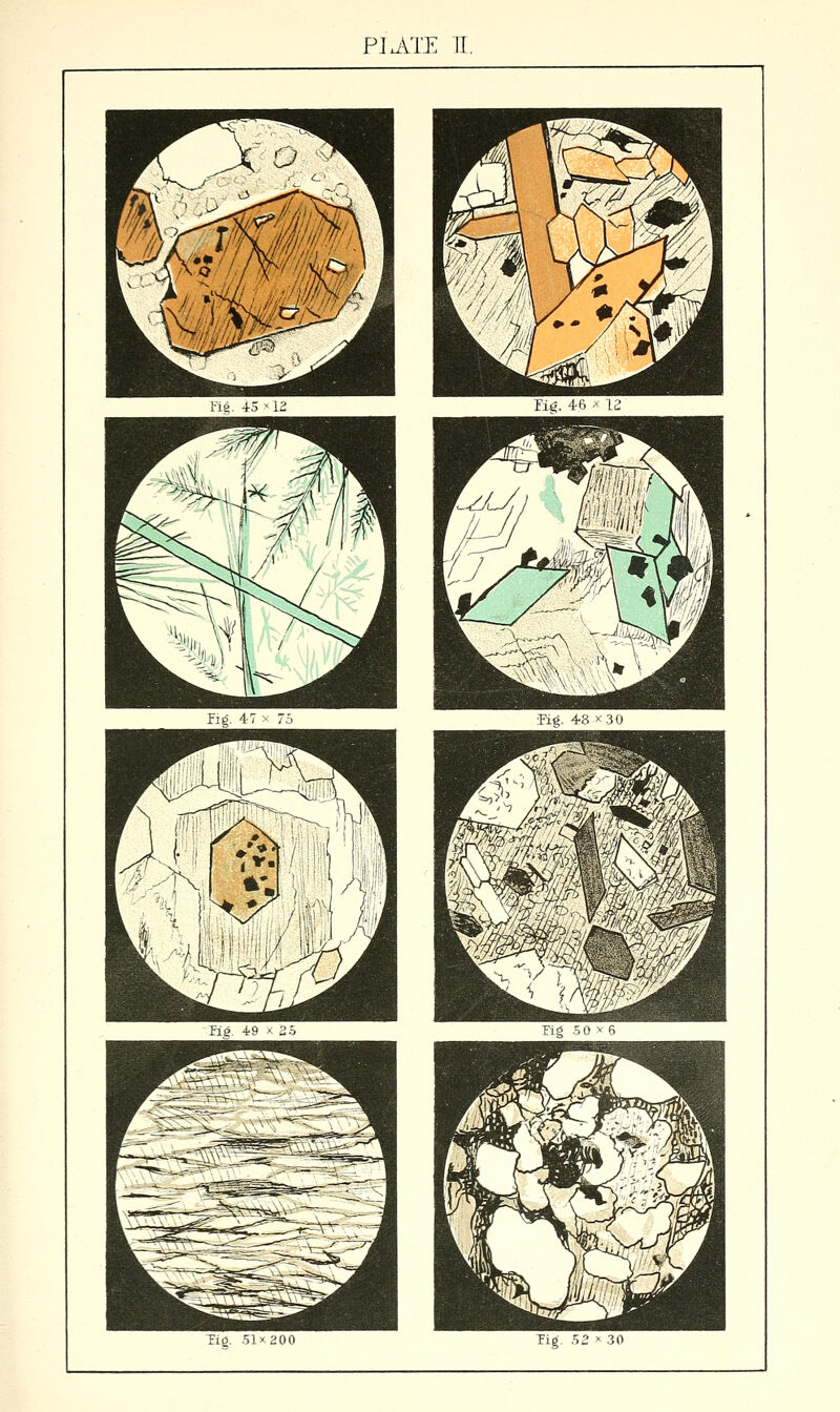 PJj^'E TT. He. i5 ■ 12 ^^■H ■| ^^^^^ ' y yf ^^H ^V y^ iuj*^ 1 ^ ^,r ^'/ #1 t% ^ / ^ J ^^^^ n . 1 flHI 1^ >% ]\*^ H Tig. 46 > 12 Fig- ^r' Tie- 51x200 ^^^^^^ .50 ^ 6 1^^ ^^ s^3 ^%^^l ^^j^ Tig. 52 X 30