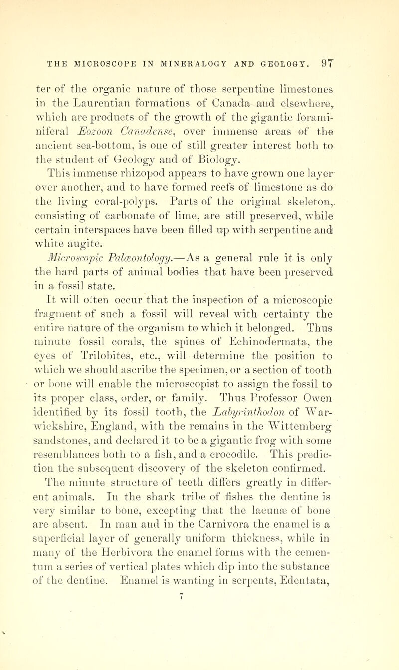 ter of the organic nature of those serpentine limestones in the Laurentian formations of Canada and elsewhere,, which are products of the growth of the gigantic forami- nifei'al Eozoon Canadense^ over immense areas of the ancient sea-bottom, is one of still greater interest both to the student of Geolog}^ and of Biology. This immense rhizopod appears to have grown one layer- over another, and to have formed reefs of limestone as do the living coral-polj^ps. Parts of the original skeleton,, consisting of carbonate of lime, are still preserved, while certain interspaces have been filled up with serpentine and white augite. Microscopic PalcEontology.—As a general rule it is only the hard parts of animal bodies tliat have been preserved in a fossil state. It wnll olten occur that the inspection of a microscopic fragment of such a fossil will reveal with certainty the entire nature of the organism to which it belong-ed. Thus minute fossil corals, the spines of Echinodermata, the eyes of Trilobites, etc., will determine the position to which we should ascribe the specimen, or a section of tooth or bone will enable the microscopist to assign the fossil to its proper class, order, or family. Thus Professor Owen identified by its fossil tooth, the Lahyrinthodon of AVar- wicksbire, England, with the remains in the Wittemberg sandstones, and declared it to be a gigantic frog with some resemblances both to a lish, and a crocodile. This predic- tion the subsequent discovery of the skeleton confirmed. The minute structure of teeth differs greatly in ditter- ent animals. In the shark tribe of fishes the dentine is very similar to bone, excepting that the lacunae of bone are absent. In man and in the Carnivora the enamel is a superticial layer of generally uniform thickness, while in many of the IJerbivora the enamel forms with the cemen- tura a series of vertical plates which dip into the substance of the dentine. Enamel is wanting in serpents, Edentata,