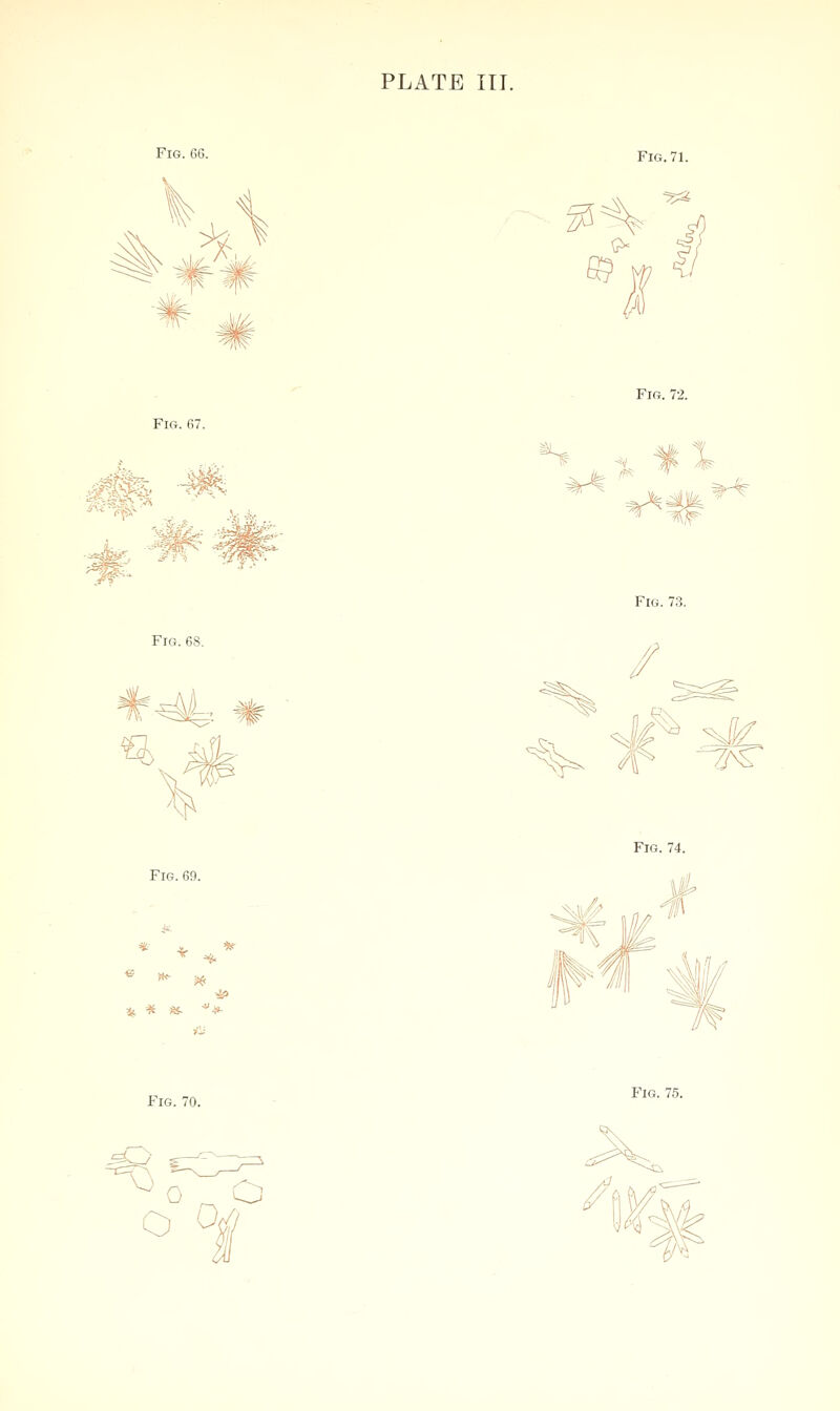 Fig. G6. ^ Fig. 71. © (> Fig. 67. ■t&w- ^^'^^- -V, -i Fig. 72. <fe- t^  '%;^ Fig. 73. Fig. / Fig. 69. Fig. 74. H^ ^ jij, * as- ■* W Mf Fig. 70. \j P'IG. 75.
