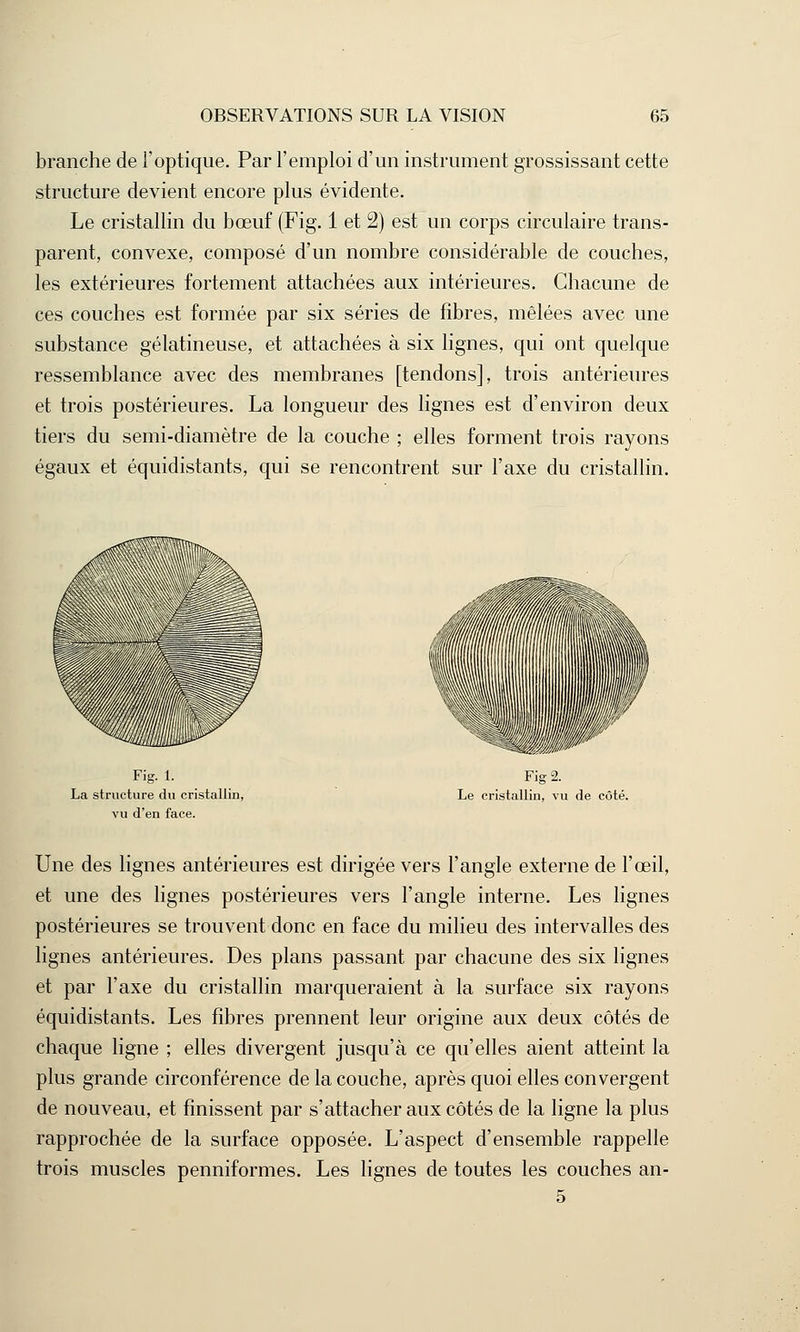 branche de l'optique. Par l'emploi d'un instrument grossissant cette structure devient encore plus évidente. Le cristallin du bœuf (Fig. 1 et 2) est un corps circulaire trans- parent, convexe, composé d'un nombre considérable de couches, les extérieures fortement attachées aux intérieures. Chacune de ces couches est formée par six séries de fibres, mêlées avec une substance gélatineuse, et attachées à six lignes, qui ont quelque ressemblance avec des membranes [tendons], trois antérieures et trois postérieures. La longueur des lignes est d'environ deux tiers du semi-diamètre de la couche ; elles forment trois rayons égaux et équidistants, qui se rencontrent sur l'axe du cristallin. Fig. 1. La structure du cristallin, vu d'en face. Fig 2. Le cristallin, vu de côté. Une des lignes antérieures est dirigée vers l'angle externe de l'œil, et une des lignes postérieures vers l'angle interne. Les lignes postérieures se trouvent donc en face du milieu des intervalles des lignes antérieures. Des plans passant par chacune des six lignes et par l'axe du cristallin marqueraient à la surface six rayons équidistants. Les fibres prennent leur origine aux deux côtés de chaque ligne ; elles divergent jusqu'à ce qu'elles aient atteint la plus grande circonférence de la couche, après quoi elles convergent de nouveau, et finissent par s'attacher aux côtés de la ligne la plus rapprochée de la surface opposée. L'aspect d'ensemble rappelle trois muscles penniformes. Les lignes de toutes les couches an- 5